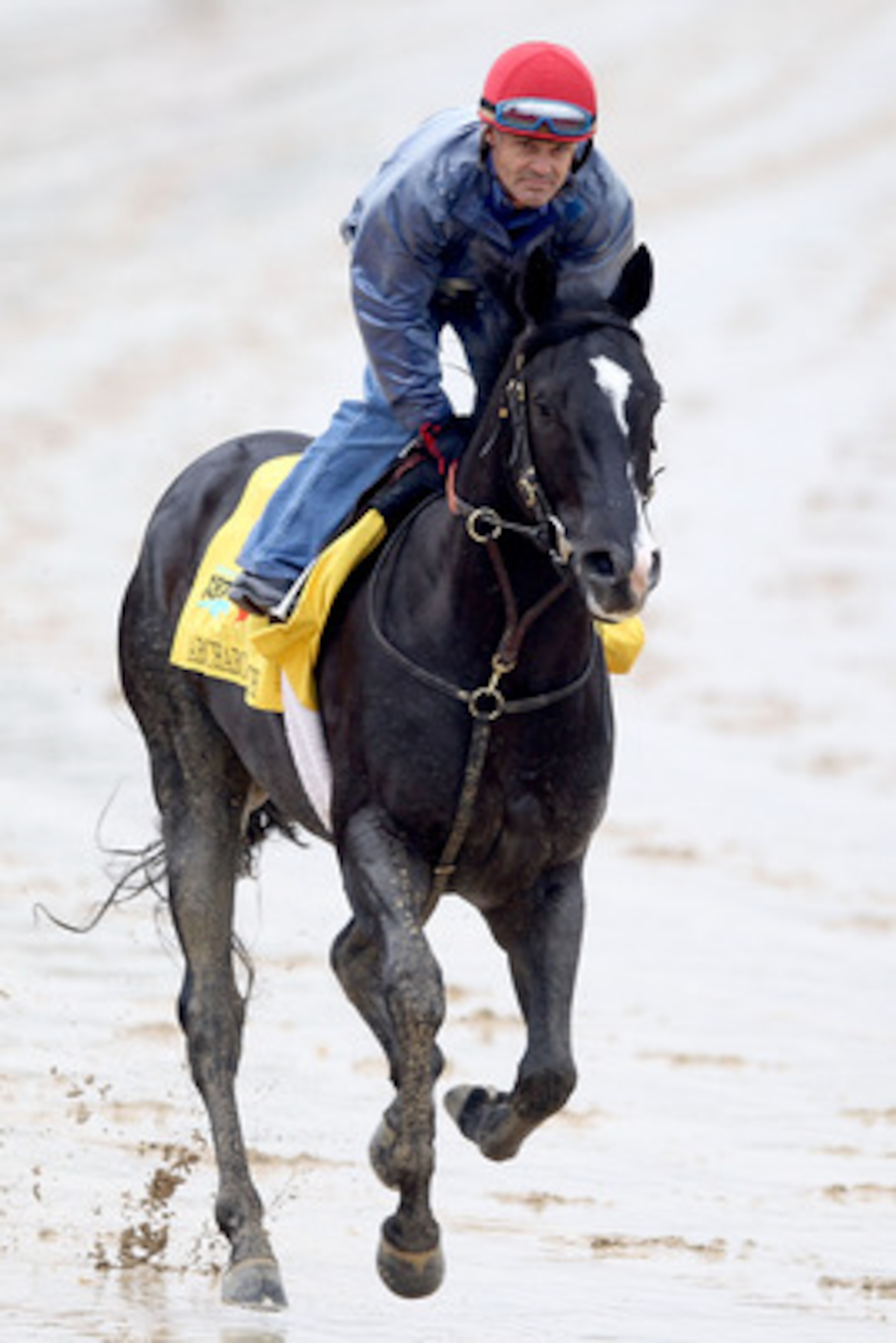 LOUISVILLE, KY - MAY 02: ArchArchArch runs runs during the morning exercise session in preparation for the 137th Kentucky Derby at Churchill Downs on May 2, 2011 in Louisville, Kentucky.  (Photo by Matthew Stockman/Getty Images)