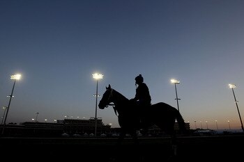 LOUISVILLE, KY - APRIL 29:  A horse is taken to the track during the morning exercise session at Churchill Downs on April 29, 2011 in Louisville, Kentucky.  (Photo by Matthew Stockman/Getty Images)