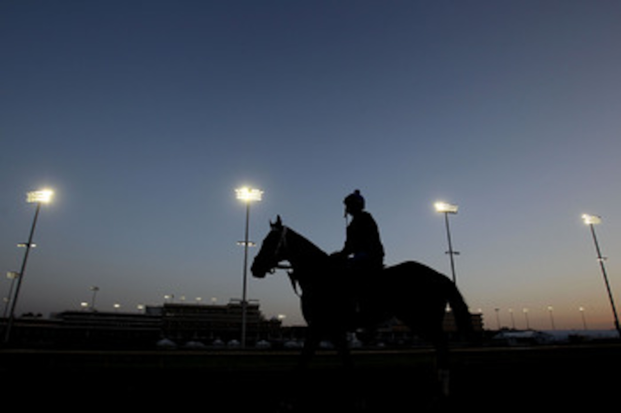 LOUISVILLE, KY - APRIL 29:  A horse is taken to the track during the morning exercise session at Churchill Downs on April 29, 2011 in Louisville, Kentucky.  (Photo by Matthew Stockman/Getty Images)