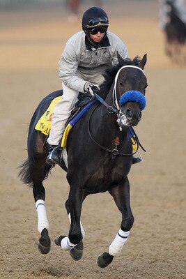 LOUISVILLE, KY - MAY 04:  Twice The Appeal trains during the morning exercise session in preparation for the 137th Kentucky Derby at Churchill Downs on May 4, 2011 in Louisville, Kentucky.  (Photo by Matthew Stockman/Getty Images)