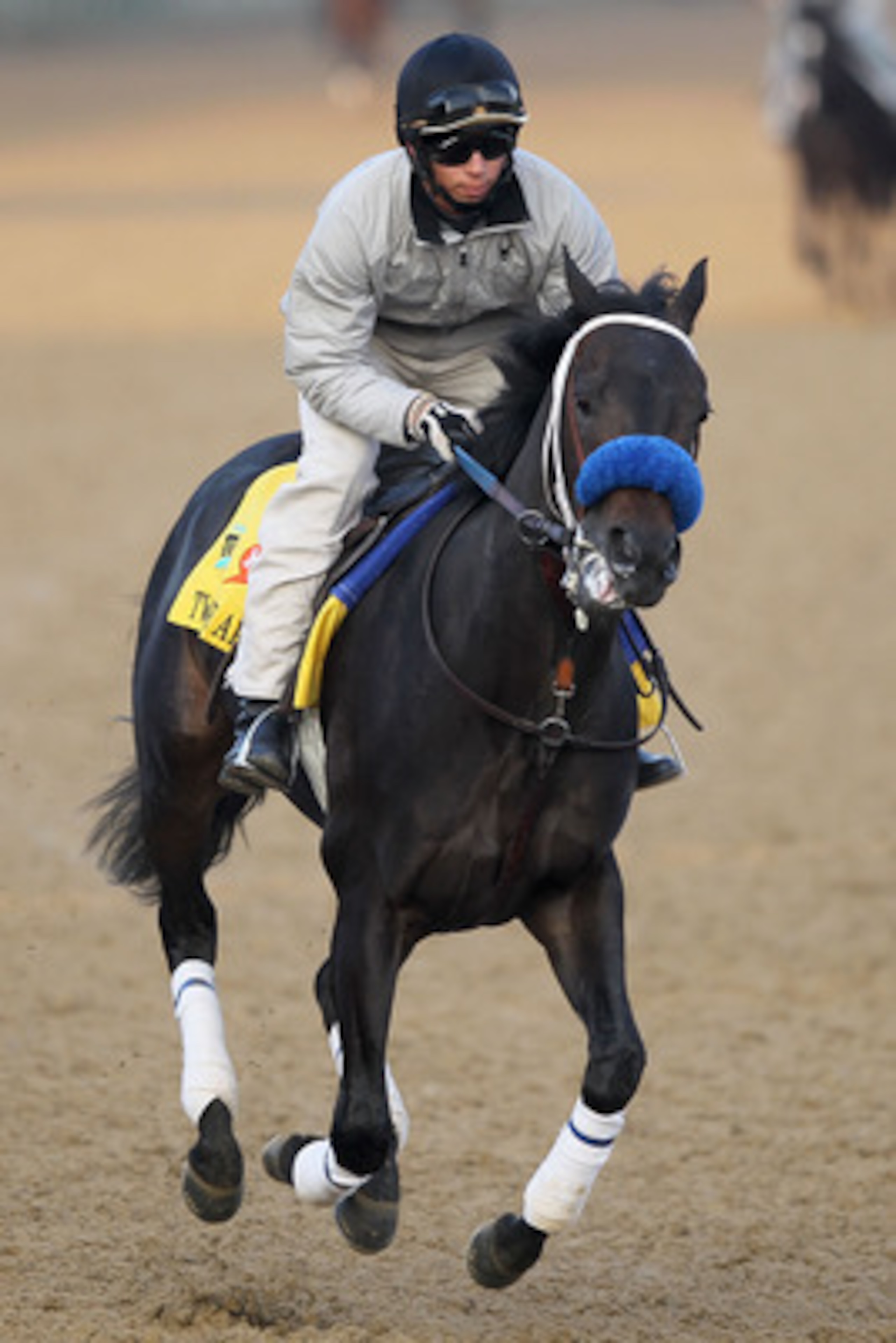 LOUISVILLE, KY - MAY 04:  Twice The Appeal trains during the morning exercise session in preparation for the 137th Kentucky Derby at Churchill Downs on May 4, 2011 in Louisville, Kentucky.  (Photo by Matthew Stockman/Getty Images)