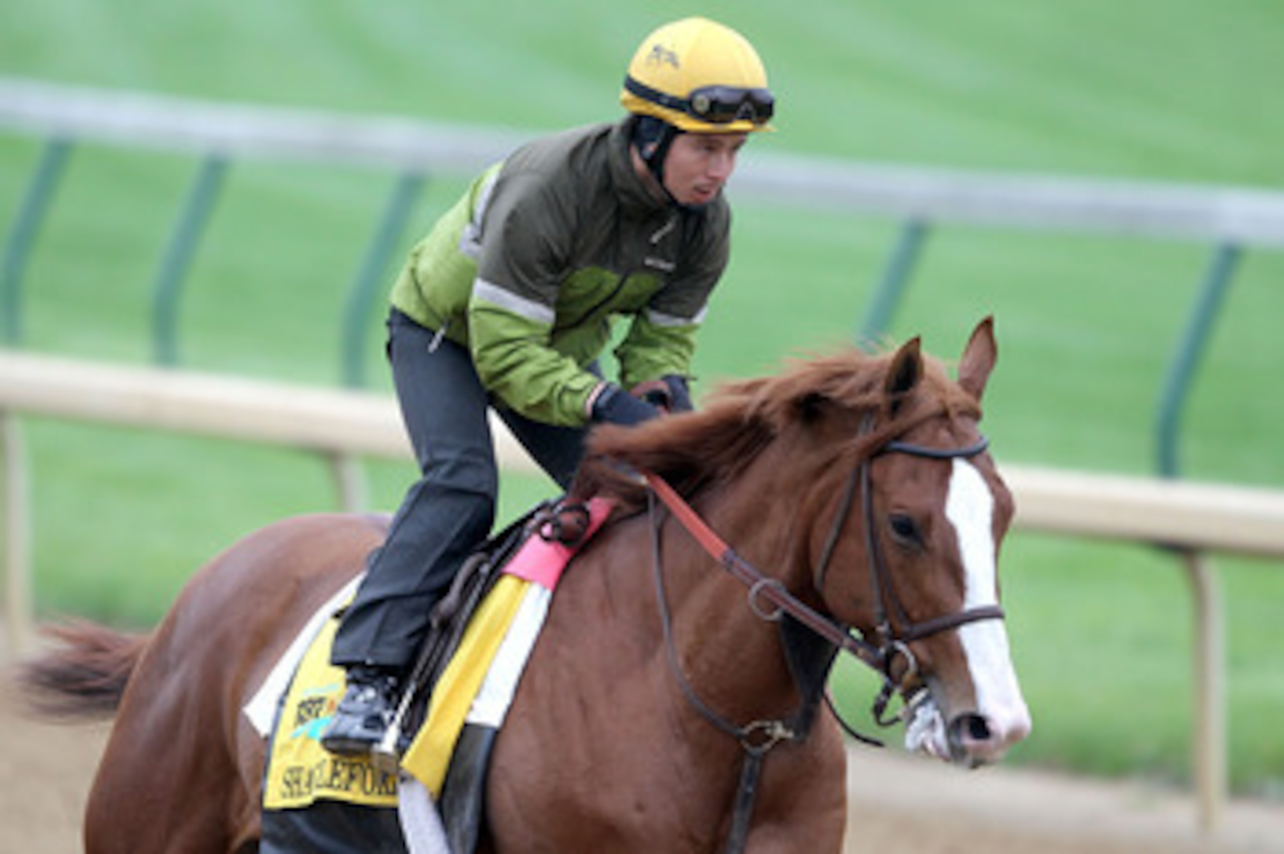 LOUISVILLE, KY - MAY 04:  Shackleford trains during the morning exercise runs session in preparation for the 137th Kentucky Derby at Churchill Downs on May 4, 2011 in Louisville, Kentucky.  (Photo by Matthew Stockman/Getty Images)