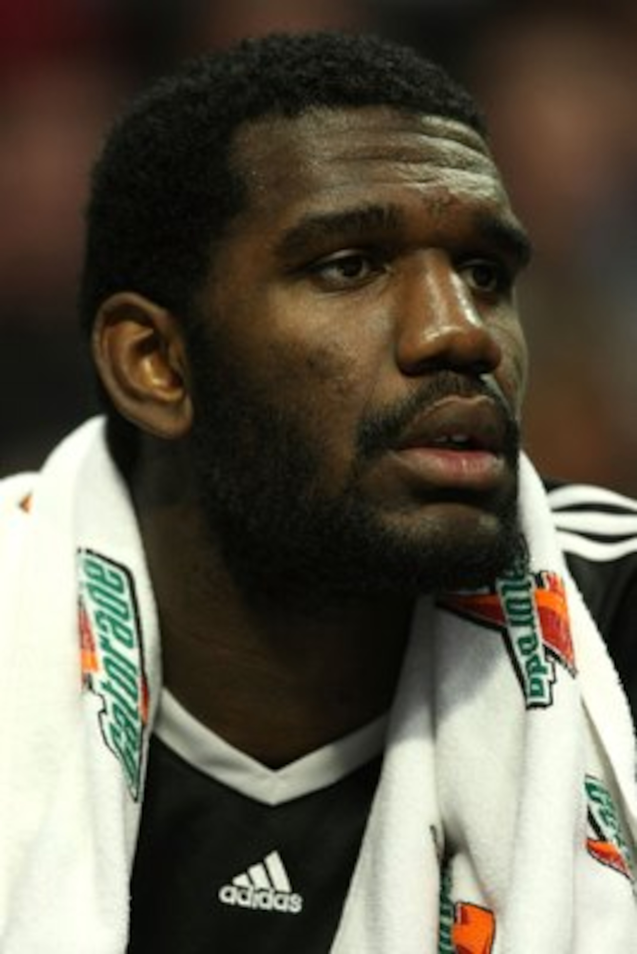 CHICAGO - JANUARY 12: Greg Oden #52 of the Portland Trail Blazers watches from the bench as his teammates take on the Chicago Bulls on January 12, 2009 at the United Center in Chicago, Illinois. The Trail Blazers defeated the Bulls 109-95. NOTE TO USER: U