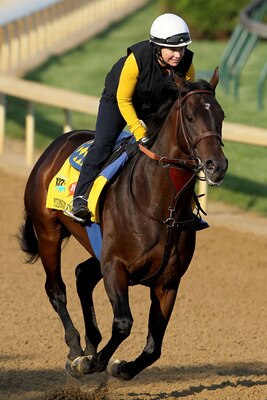 LOUISVILLE, KY - APRIL 30: Midnight Interlude runs during the morning exercise session in preparation for the 137th Kentucky Derby at Churchill Downs on April 30, 2011 in Louisville, Kentucky.  (Photo by Matthew Stockman/Getty Images)