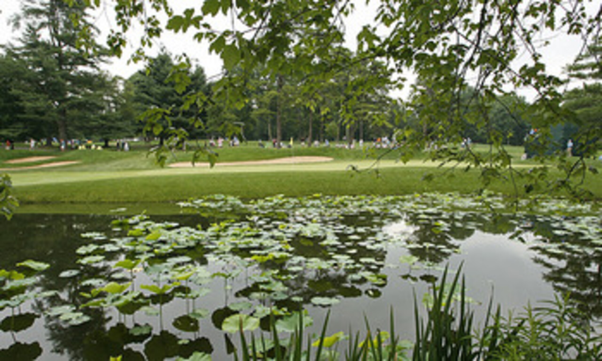 No. 11 at Congressional