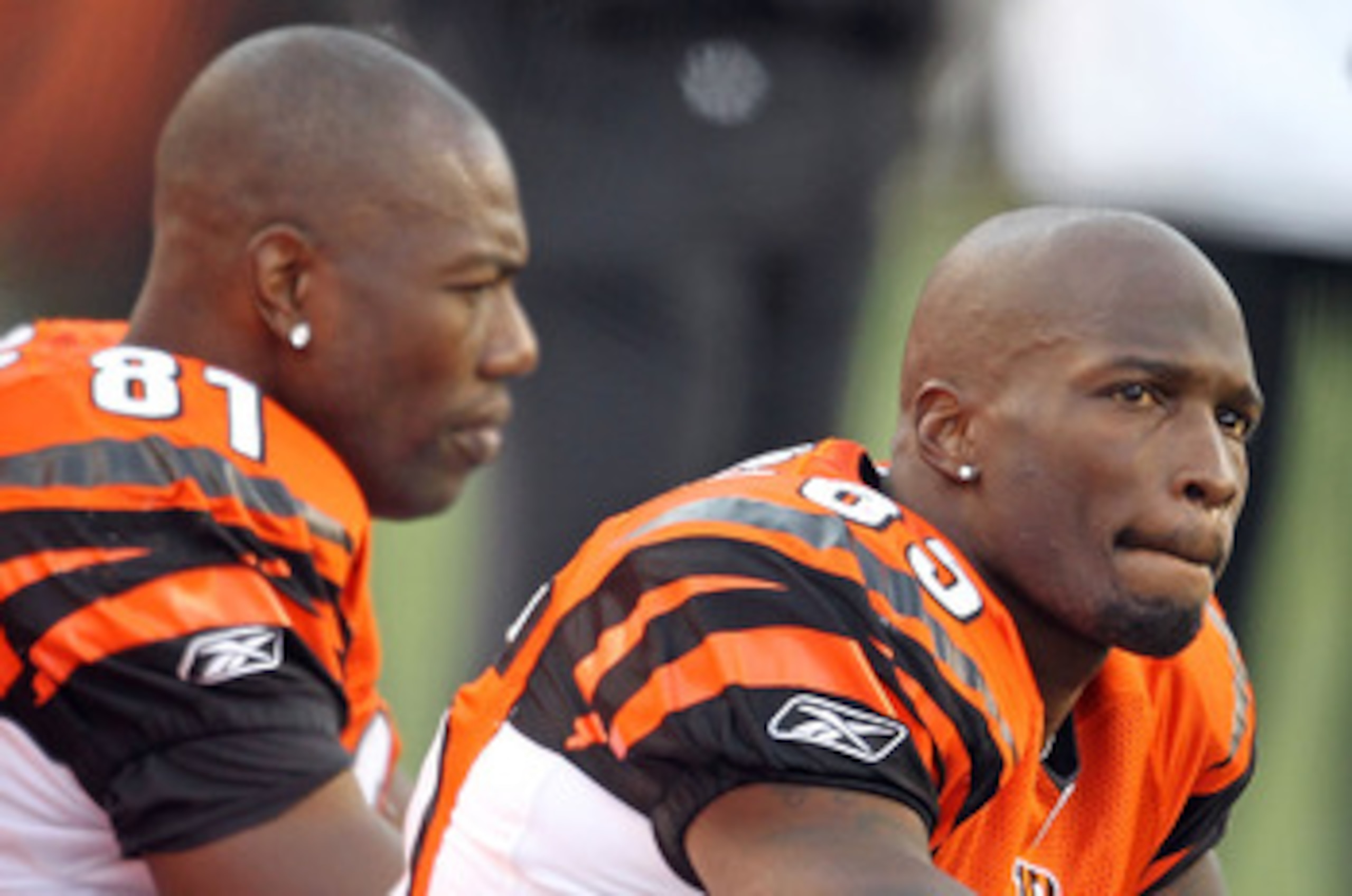 CINCINNATI - NOVEMBER 21:  Chad Ochocinco #85 and Terrell Owens #81 of the Cincinnati Bengals watch from the sideline during the final minutes of the Bengals 49-31 loss to the Buffalo Bills at Paul Brown Stadium on November 21, 2010 in Cincinnati, Ohio.  