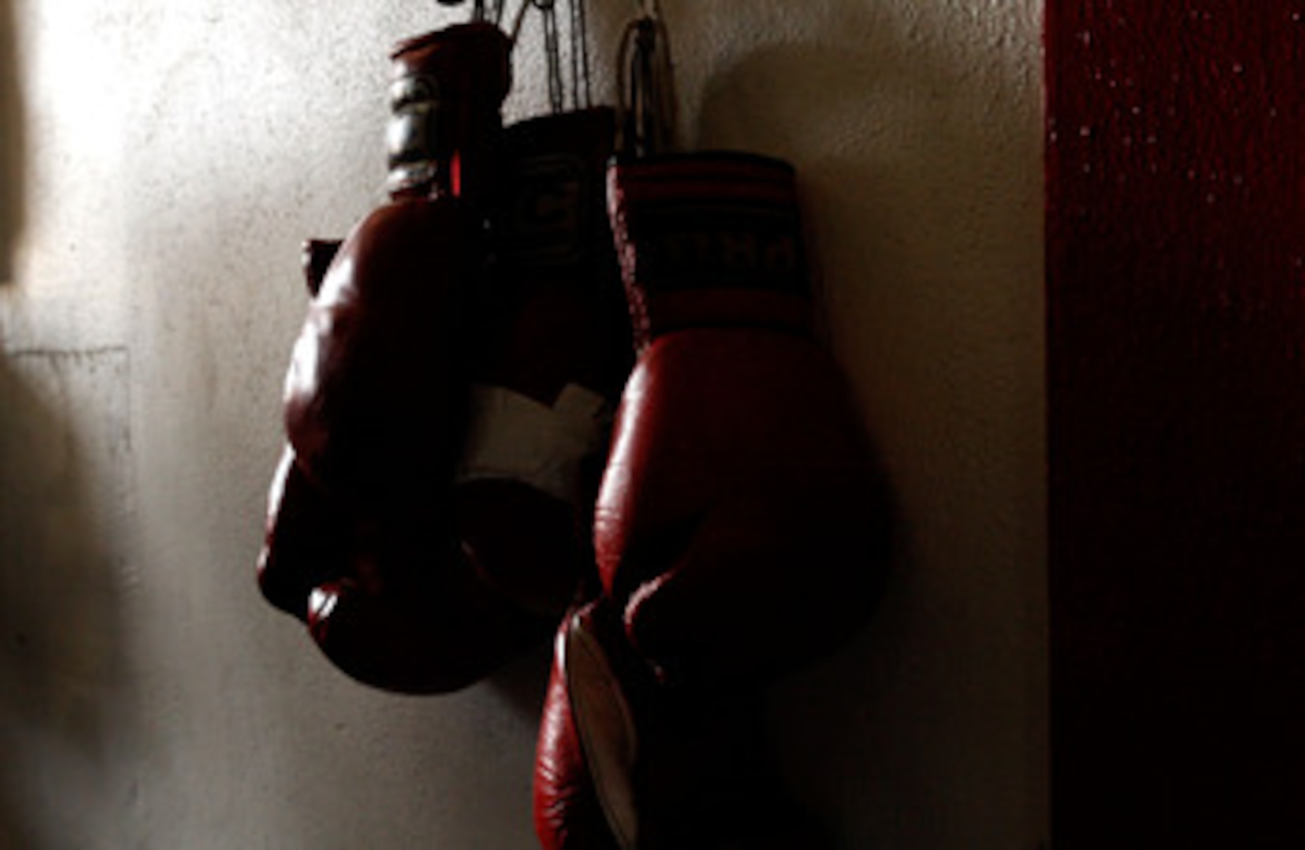 LOS ANGELES, CA - SEPTEMBER 29: Boxing gloves hang on the wall at the Urbina Westside Boxing Gym where Israel Vasquez Two-time Junior Featherweight World Champion had a workout session on September 29, 2009 in Los Angeles, California.  Vasquez will return
