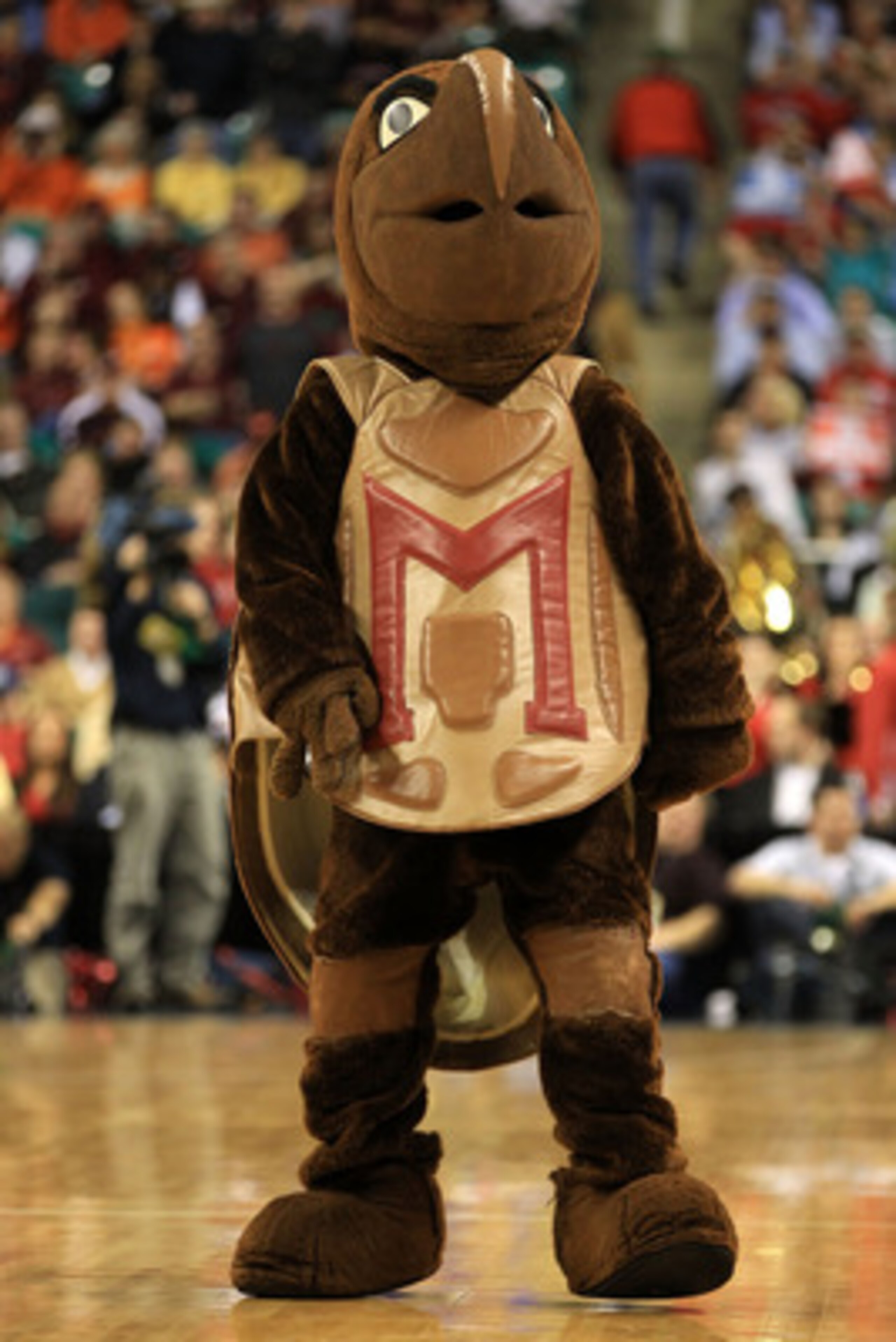 GREENSBORO, NC - MARCH 10:  Testudo, the mascot for the Maryland Terrapins, is seen during the first half of the game against the North Carolina State Wolfpack in the first round of the 2011 ACC men's basketball tournament at the Greensboro Coliseum on Ma
