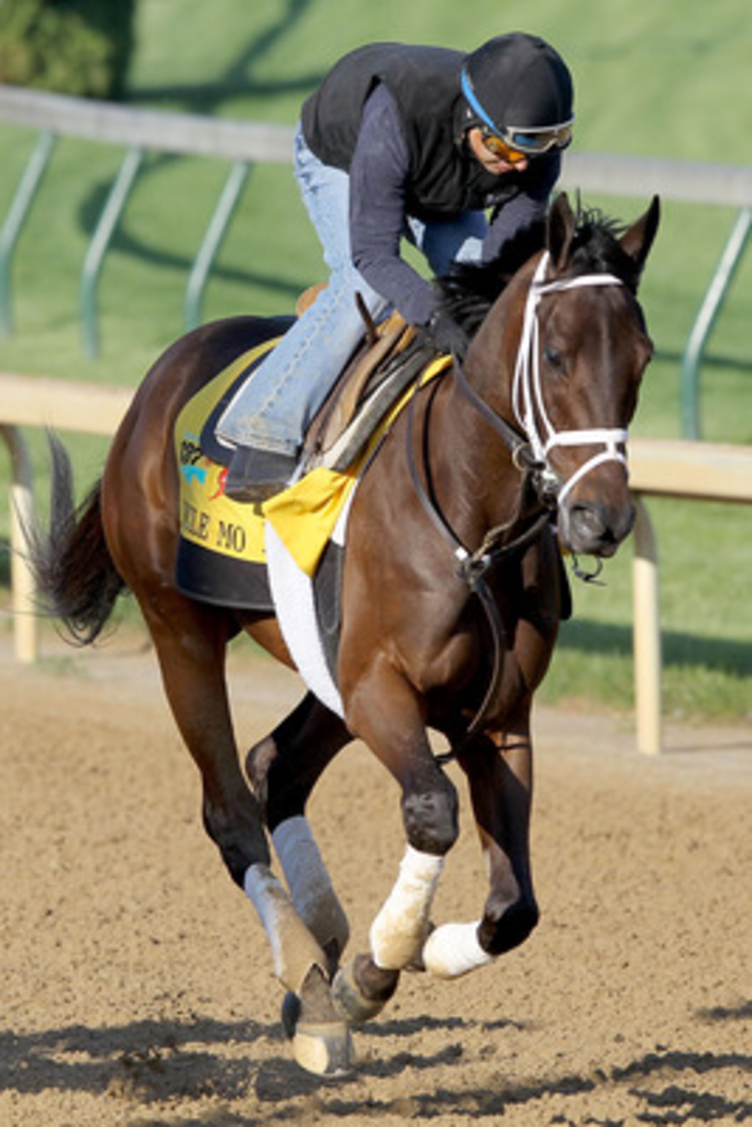 LOUISVILLE, KY - APRIL 29:  Uncle Mo runs during the morning exercise session in preparation for the 137th Kentucky Derby at Churchill Downs on April 29, 2011 in Louisville, Kentucky.  (Photo by Matthew Stockman/Getty Images)