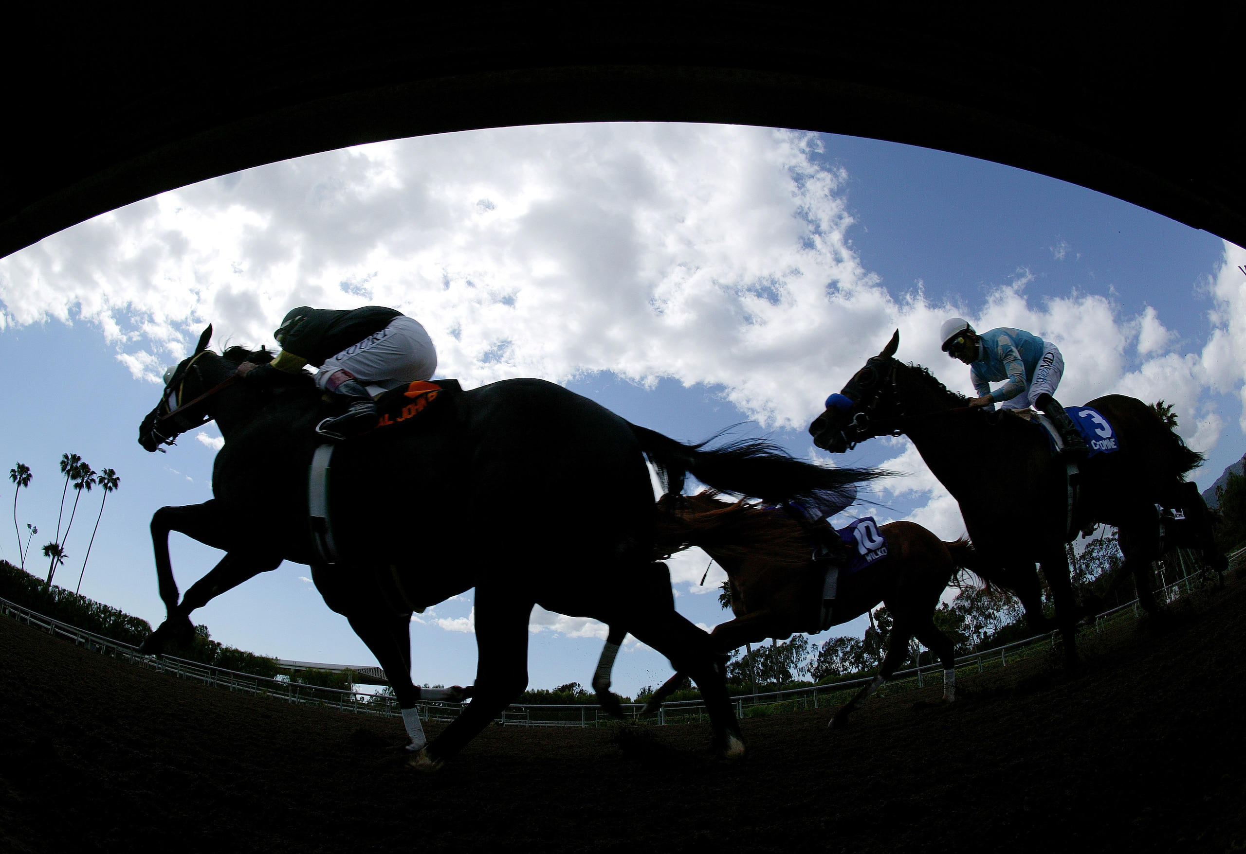 ARCADIA, CA - APRIL 9: A general view of horses taking the final turn, General John B #6 with jockey Jon Court leading, Buzzards Bay #9 with jockey Mark Guidry, and Sweet Catomine #3 with jockey Corey Nakatani during the Santa Anita Derby at Santa Anita ARCADIA, CA - APRIL 9: A general view of horses taking the final turn, General John B #6 with jockey Jon Court leading, Buzzards Bay #9 with jockey Mark Guidry, and Sweet Catomine #3 with jockey Corey Nakatani during the Santa Anita Derby at Santa Anita