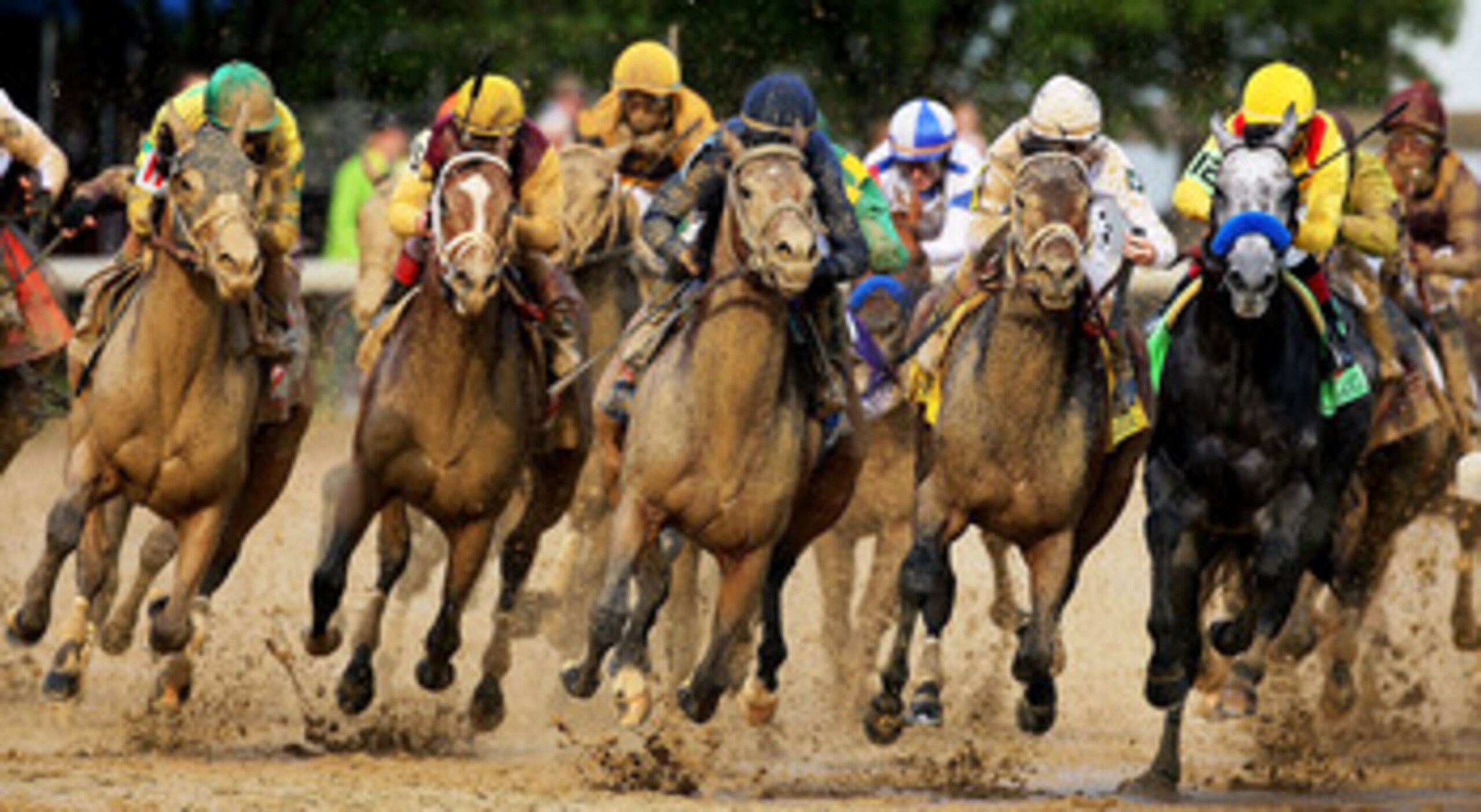 LOUISVILLE, KY - MAY 01:  (2nd from R) Calvin Borel atop Super Saver comes around turn four during the 136th running of the Kentucky Derby on May 1, 2010 in Louisville, Kentucky. (Photo by Andy Lyons/Getty Images)