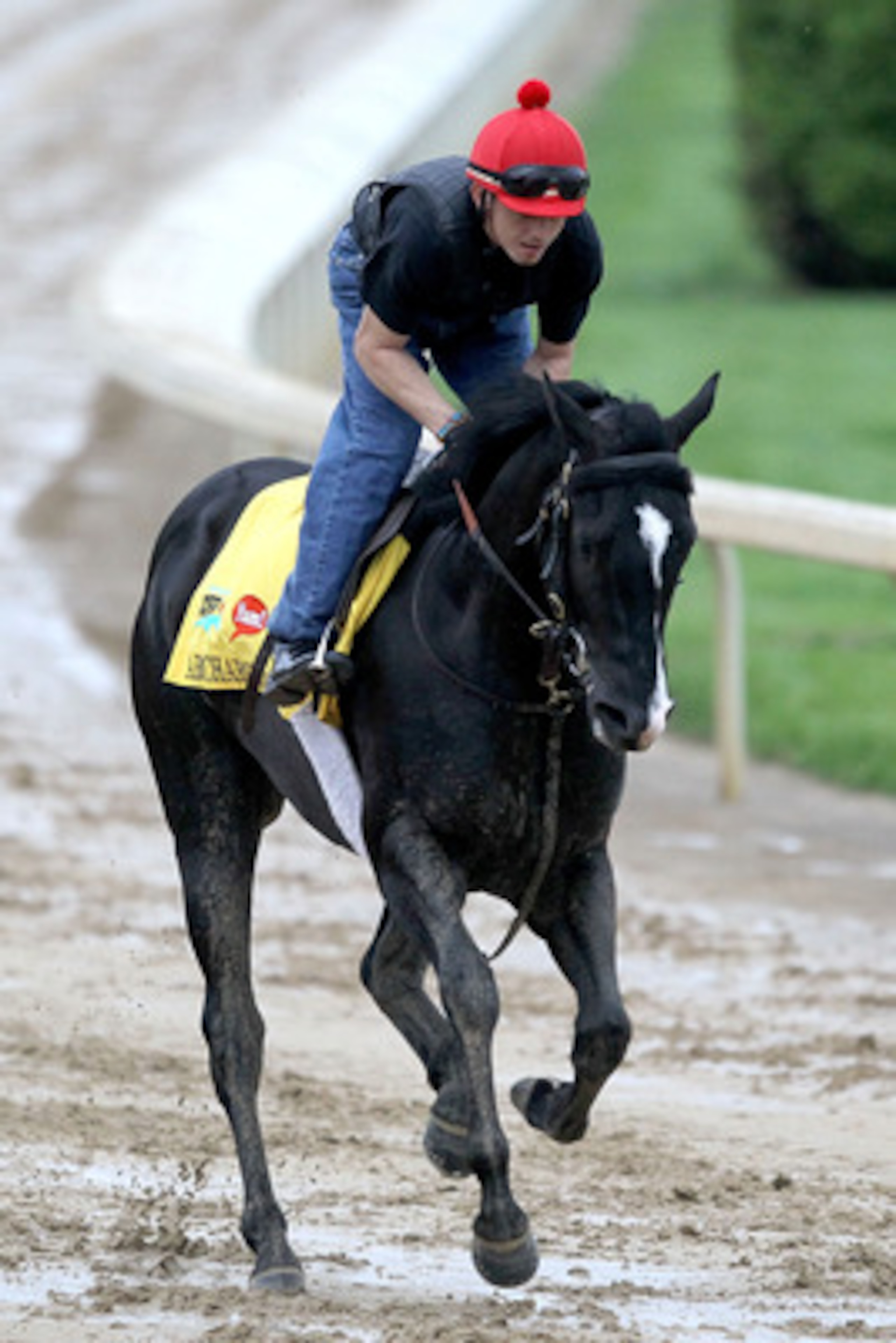 LOUISVILLE, KY - MAY 01: ArchArchArch works out during the morning exercise session in preparation for the 137th Kentucky Derby at Churchill Downs on May 1, 2011 in Louisville, Kentucky.  (Photo by Matthew Stockman/Getty Images)