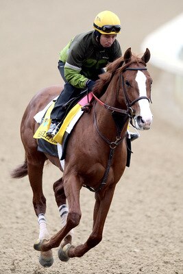 LOUISVILLE, KY - MAY 04:  Shackleford trains during the morning exercise runs session in preparation for the 137th Kentucky Derby at Churchill Downs on May 4, 2011 in Louisville, Kentucky.  (Photo by Matthew Stockman/Getty Images)