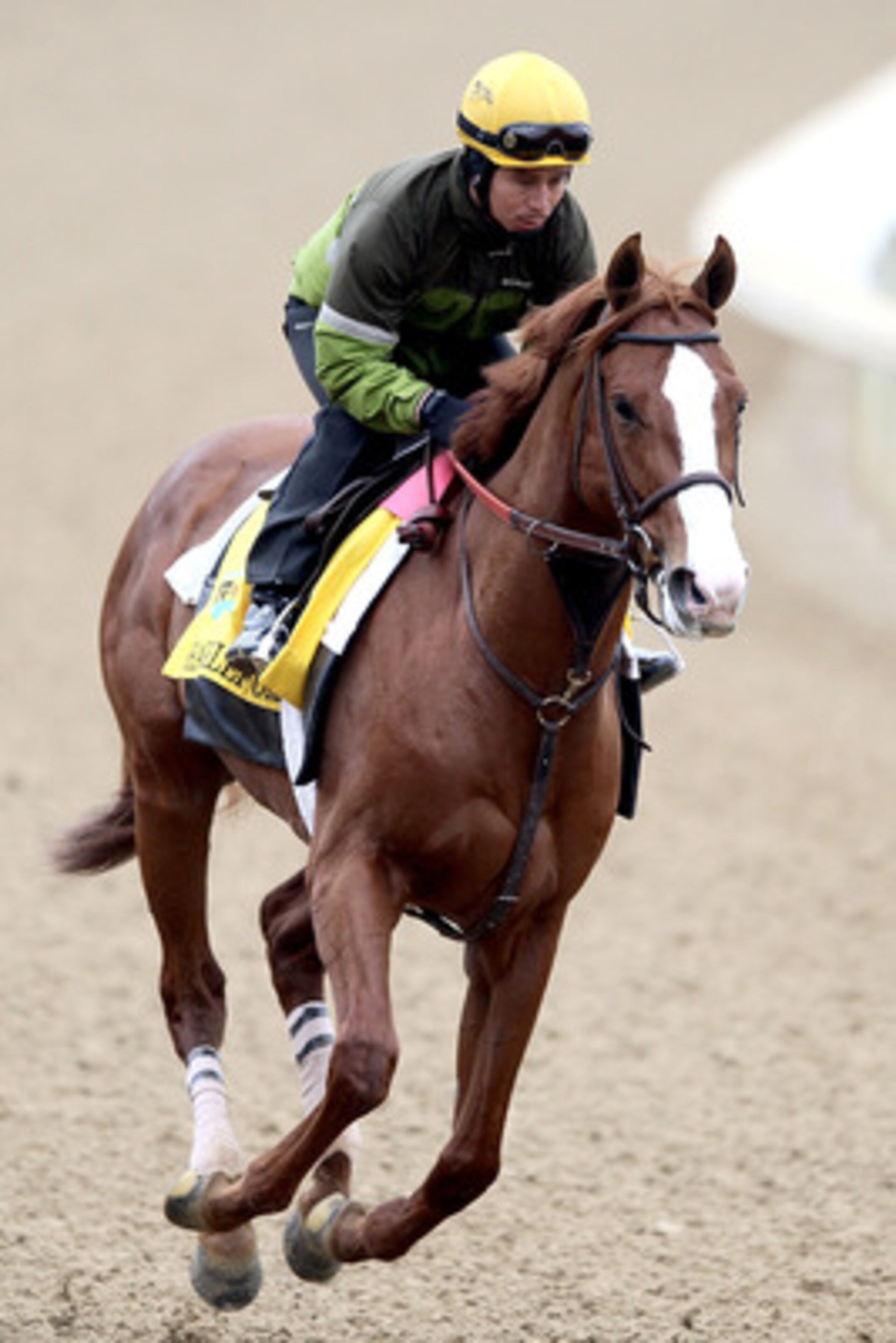 LOUISVILLE, KY - MAY 04:  Shackleford trains during the morning exercise runs session in preparation for the 137th Kentucky Derby at Churchill Downs on May 4, 2011 in Louisville, Kentucky.  (Photo by Matthew Stockman/Getty Images)