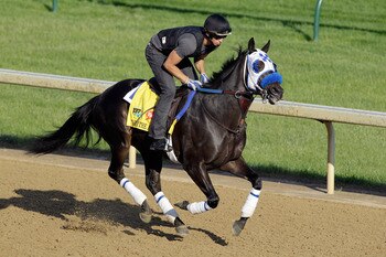 LOUISVILLE, KY - MAY 05:  Kentucky Derby entrant Twice the Appeal works on the track  preparation for the 137th Kentucky Derby at Churchill Downs on May 5, 2011 in Louisville, Kentucky.  (Photo by Rob Carr/Getty Images)