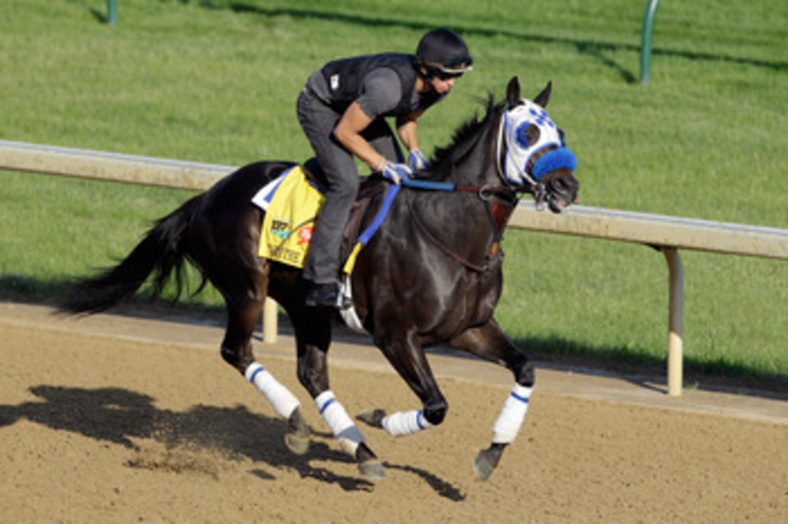 LOUISVILLE, KY - MAY 05:  Kentucky Derby entrant Twice the Appeal works on the track  preparation for the 137th Kentucky Derby at Churchill Downs on May 5, 2011 in Louisville, Kentucky.  (Photo by Rob Carr/Getty Images)