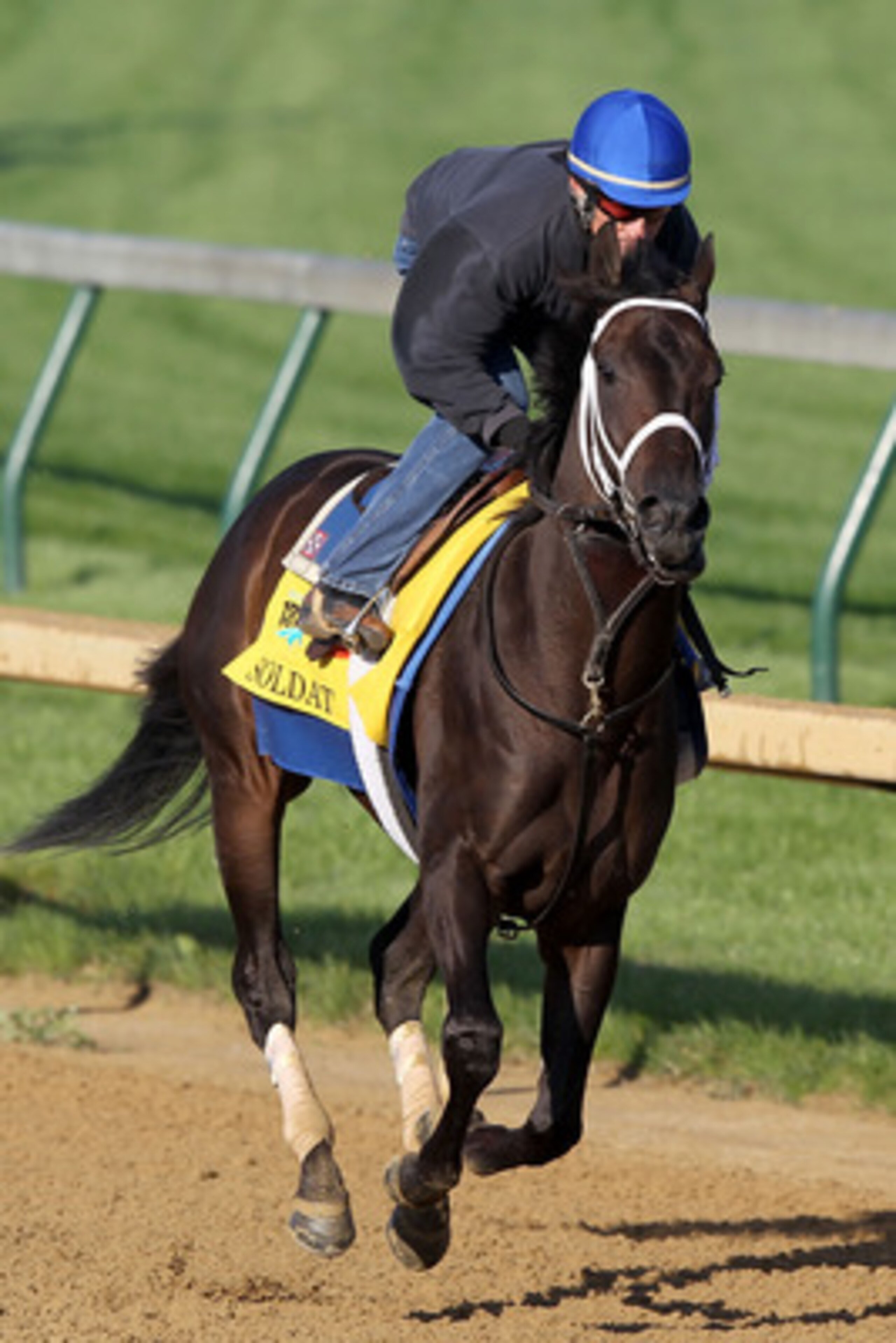 LOUISVILLE, KY - MAY 05: Soldat trains during the morning exercise session in preparation for the 137th Kentucky Derby at Churchill Downs on May 5, 2011 in Louisville, Kentucky.  (Photo by Matthew Stockman/Getty Images)