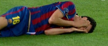 Observe the Busquets, Comfortable in its Natural Environment