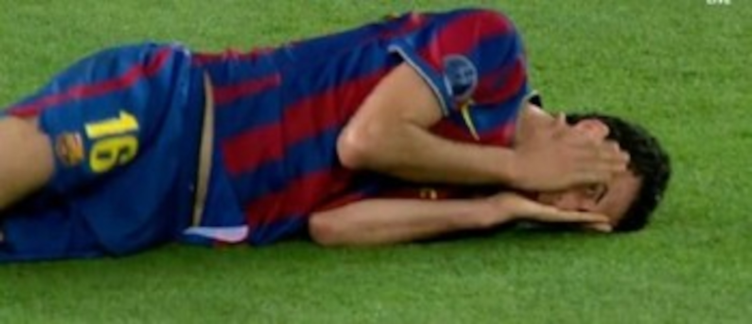 Observe the Busquets, Comfortable in its Natural Environment