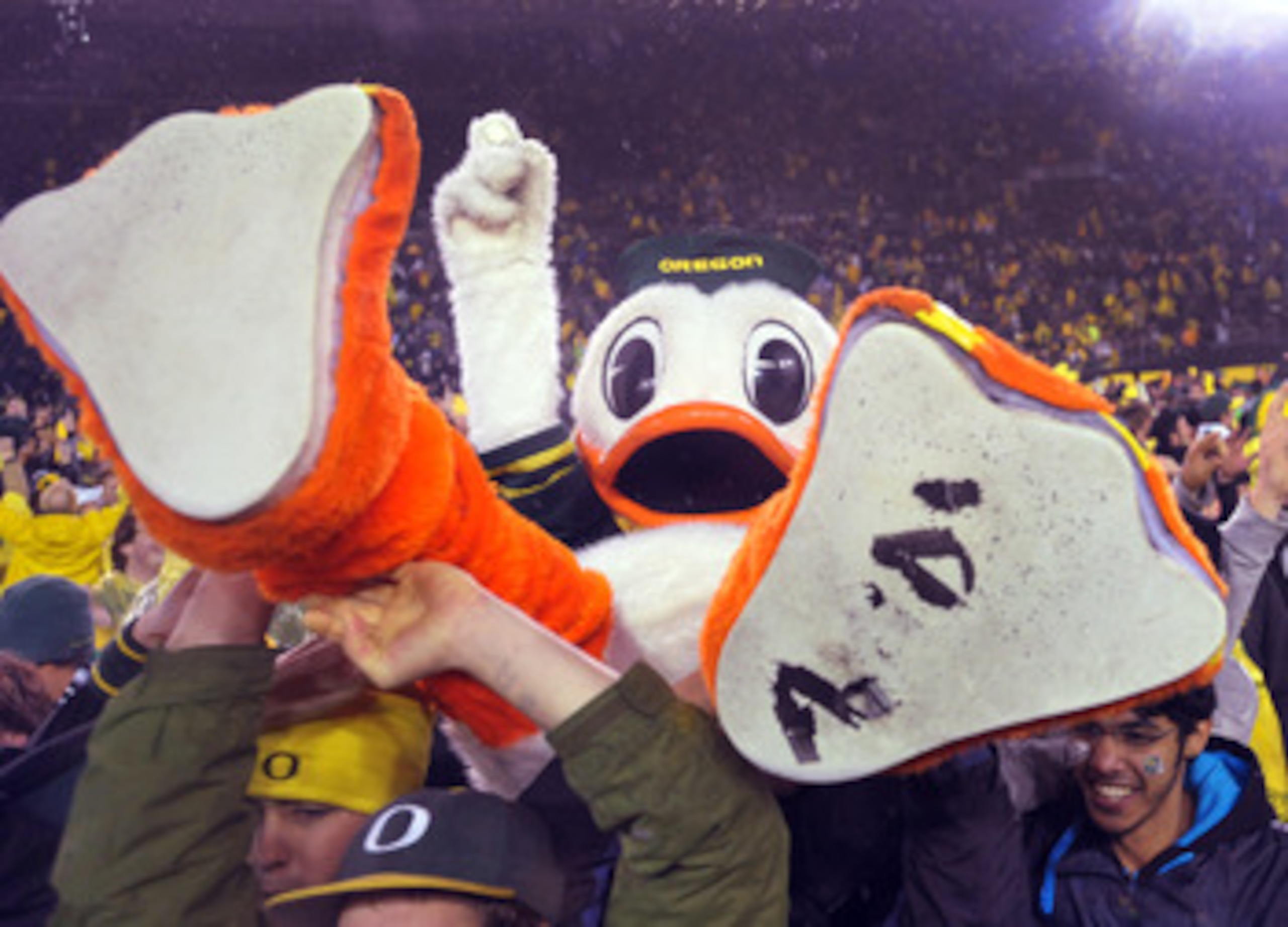 EUGENE, OR - NOVEMBER 26: Oregon Ducks mascot 'Puddles' is lifted on the shoulders of fans after the game against the Arizona Wildcats at Autzen Stadium on November 26, 2010 in Eugene, Oregon. The Ducks won the game 48-29. (Photo by Steve Dykes/Getty Imag
