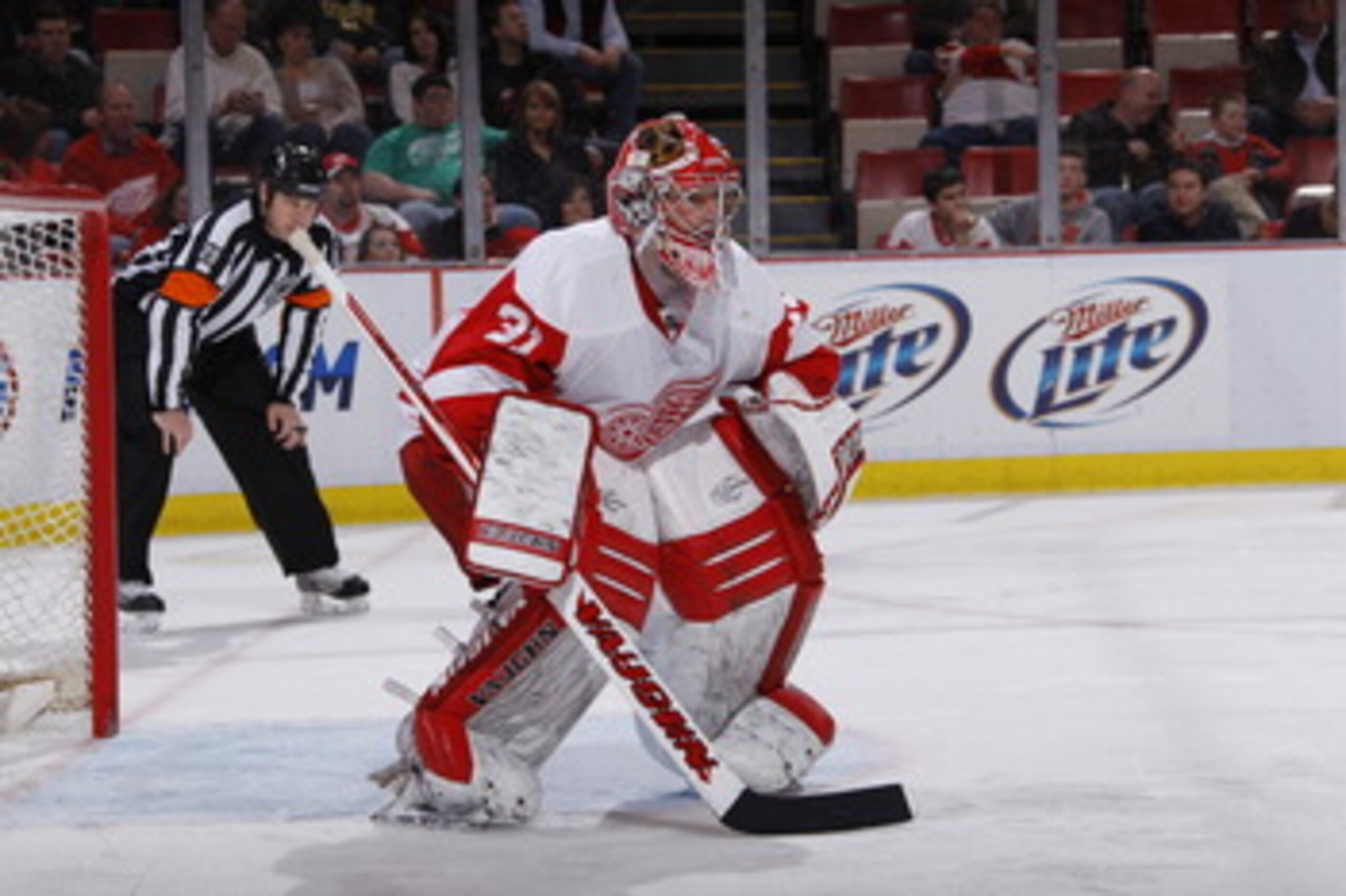 DETROIT, MI - MARCH 30:  Joey MacDonald #31 of the Detroit Red Wings watches the puck while playing against the St. Louis Blues at Joe Louis Arena on March 30, 2011 in Detroit, Michigan.  (Photo by Gregory Shamus/Getty Images)