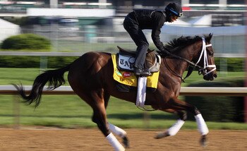 LOUISVILLE, KY - MAY 05:  Kentucky Derby entrant Uncle Mo with exercise rider Hector Ramos works during morning workouts in preparation for the 137th running of the Kentucky Derby on May 5, 2011 at Churchill Downs in Louisville, Kentucky.  (Photo by Jamie