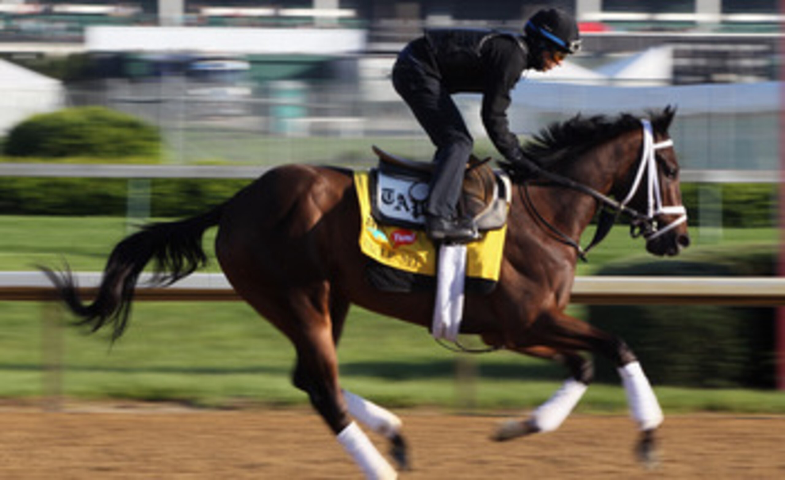 LOUISVILLE, KY - MAY 05:  Kentucky Derby entrant Uncle Mo with exercise rider Hector Ramos works during morning workouts in preparation for the 137th running of the Kentucky Derby on May 5, 2011 at Churchill Downs in Louisville, Kentucky.  (Photo by Jamie