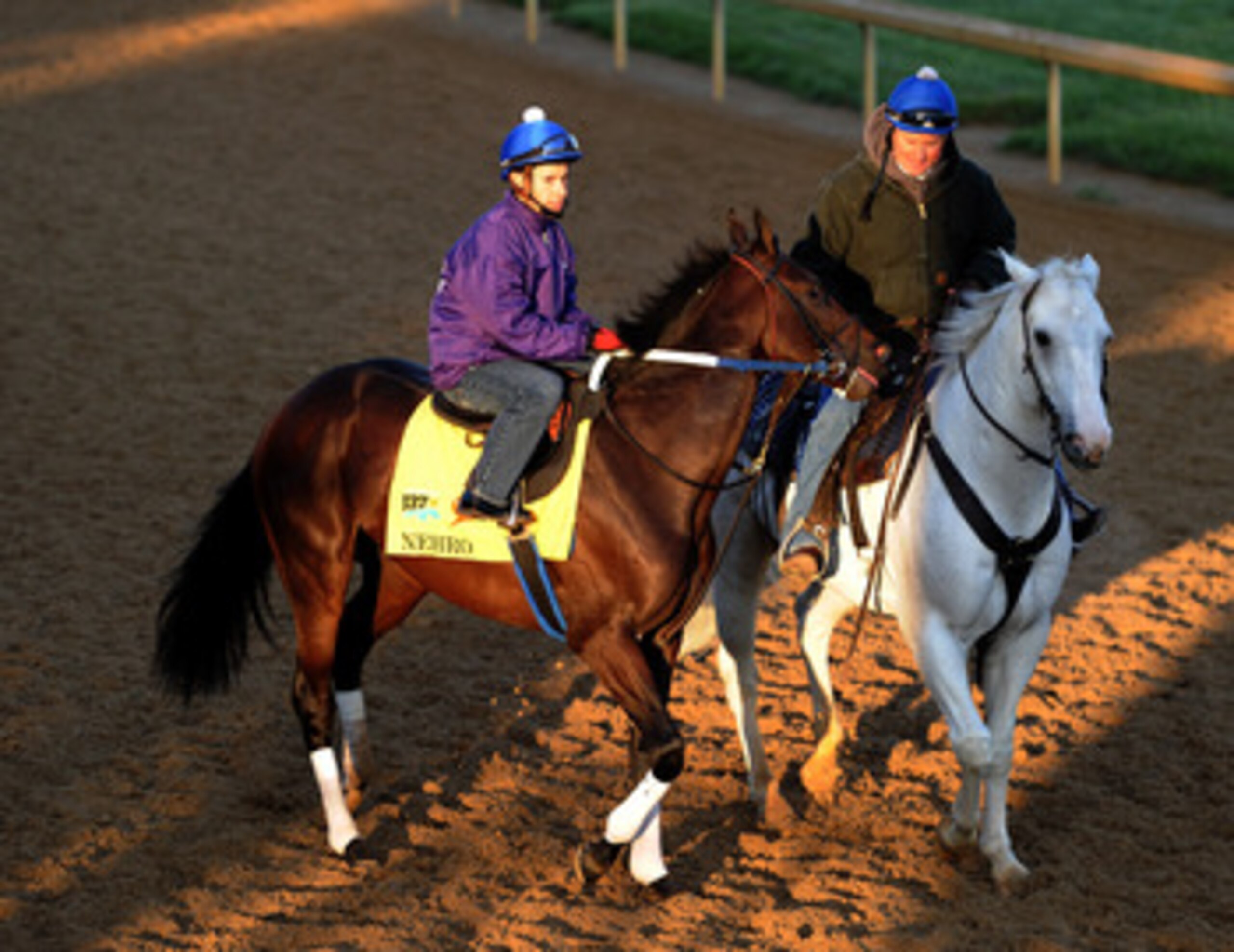 LOUISVILLE, KY - MAY 05:  Nehro is lead on to the track in preparation for the 137th Kentucky Derby at Churchill Downs on May 5, 2011 in Louisville, Kentucky.  (Photo by Harry How/Getty Images)