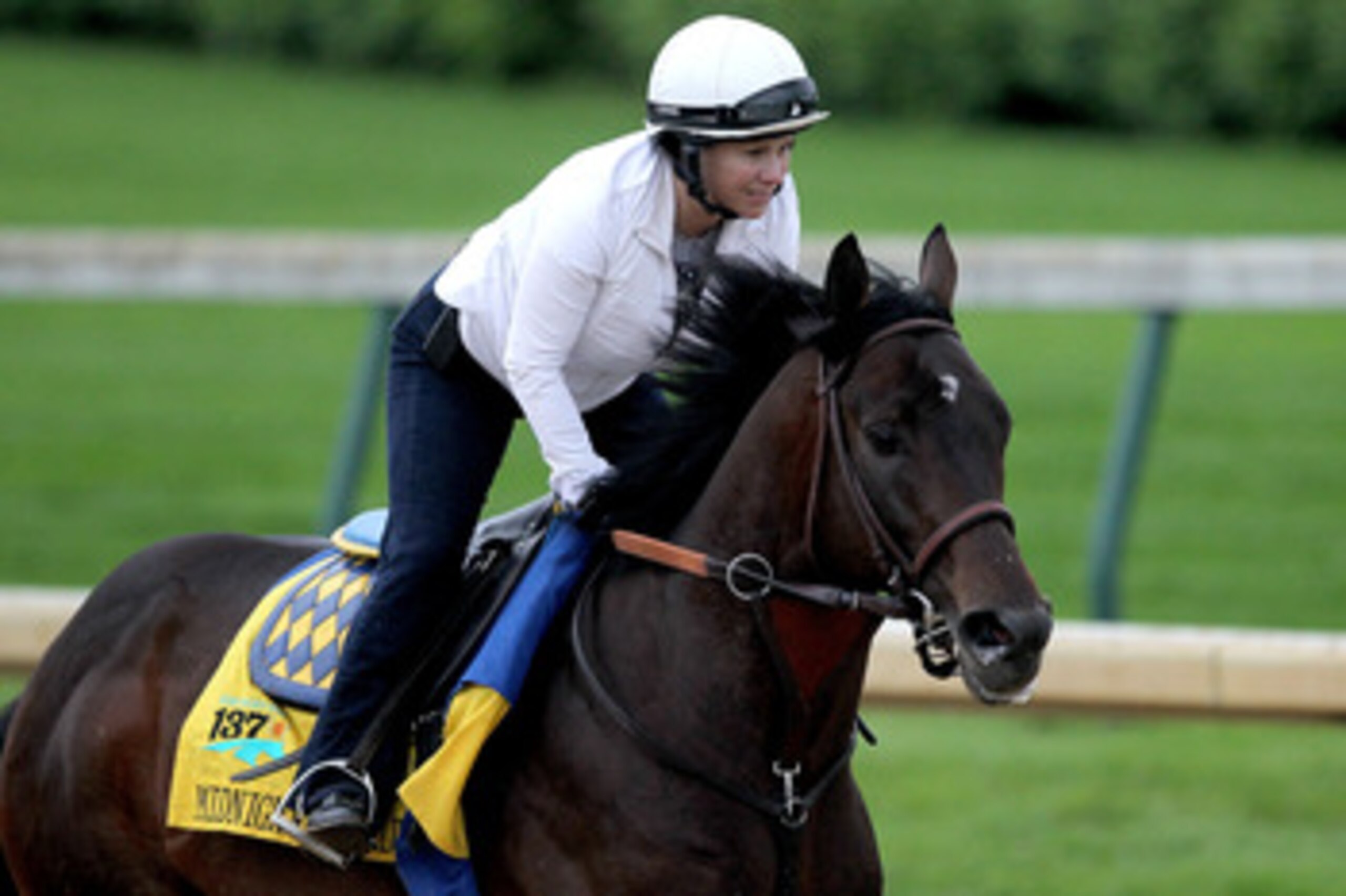 LOUISVILLE, KY - MAY 01: Midnight Interlude works out during the morning exercise session in preparation for the 137th Kentucky Derby at Churchill Downs on May 1, 2011 in Louisville, Kentucky.  (Photo by Matthew Stockman/Getty Images)