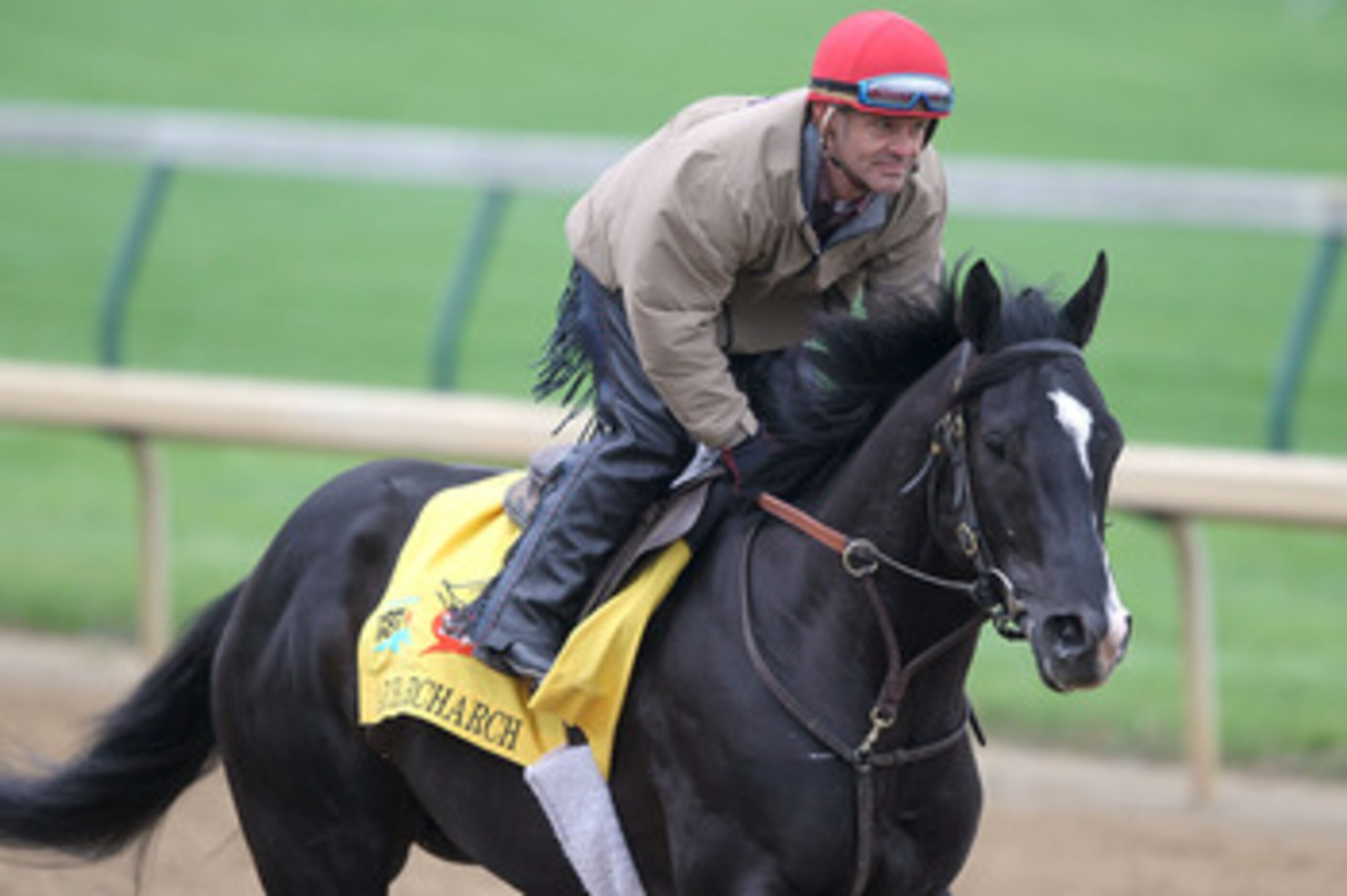 LOUISVILLE, KY - MAY 04:  ArchArchArch trains during the morning exercise runs session in preparation for the 137th Kentucky Derby at Churchill Downs on May 4, 2011 in Louisville, Kentucky.  (Photo by Matthew Stockman/Getty Images)