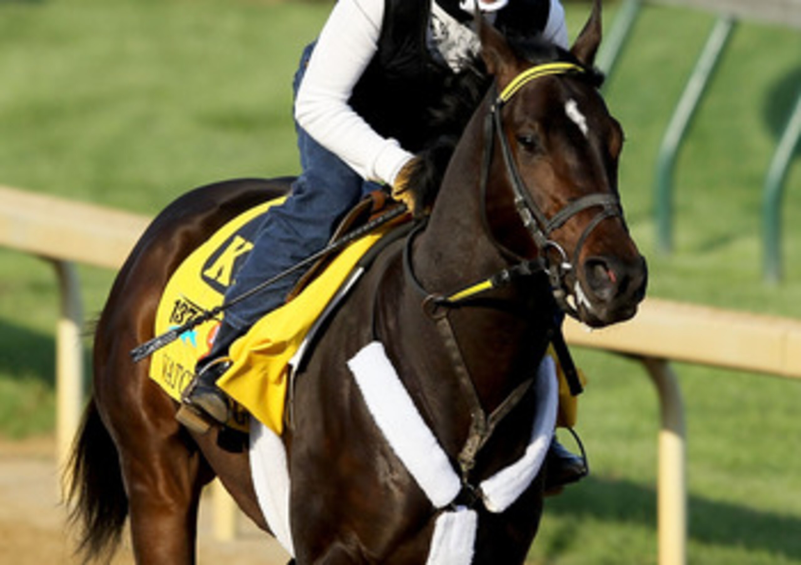 LOUISVILLE, KY - APRIL 30:  Watch Me Go runs during the morning exercise session in preparation for the 137th Kentucky Derby at Churchill Downs on April 30, 2011 in Louisville, Kentucky.  (Photo by Matthew Stockman/Getty Images)