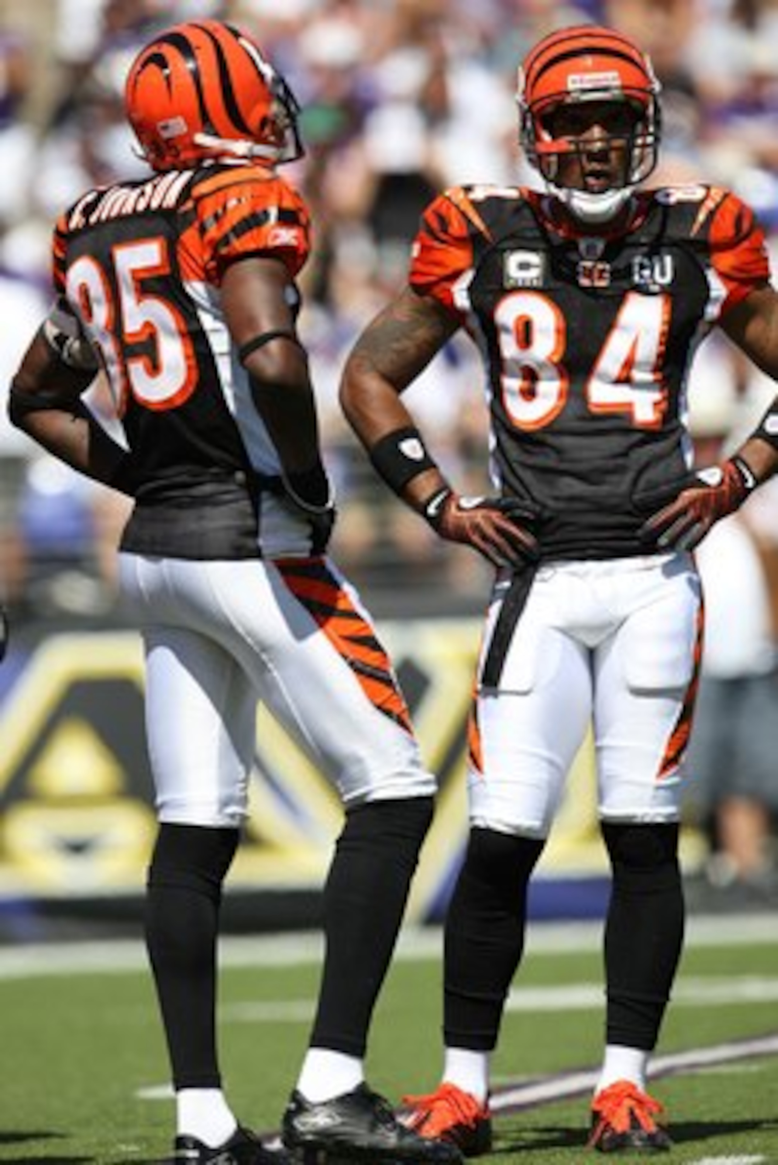 BALTIMORE - SEPTEMBER 7: Wide receivers Chad Johnson #85 and T.J. Houshmandzadeh of the Cincinnati Bengals stand on the field against the Baltimore Ravens at M&T Bank Stadium on September 7, 2008 in Baltimore, Maryland. The Ravens won 17-10. (Photo by Ned