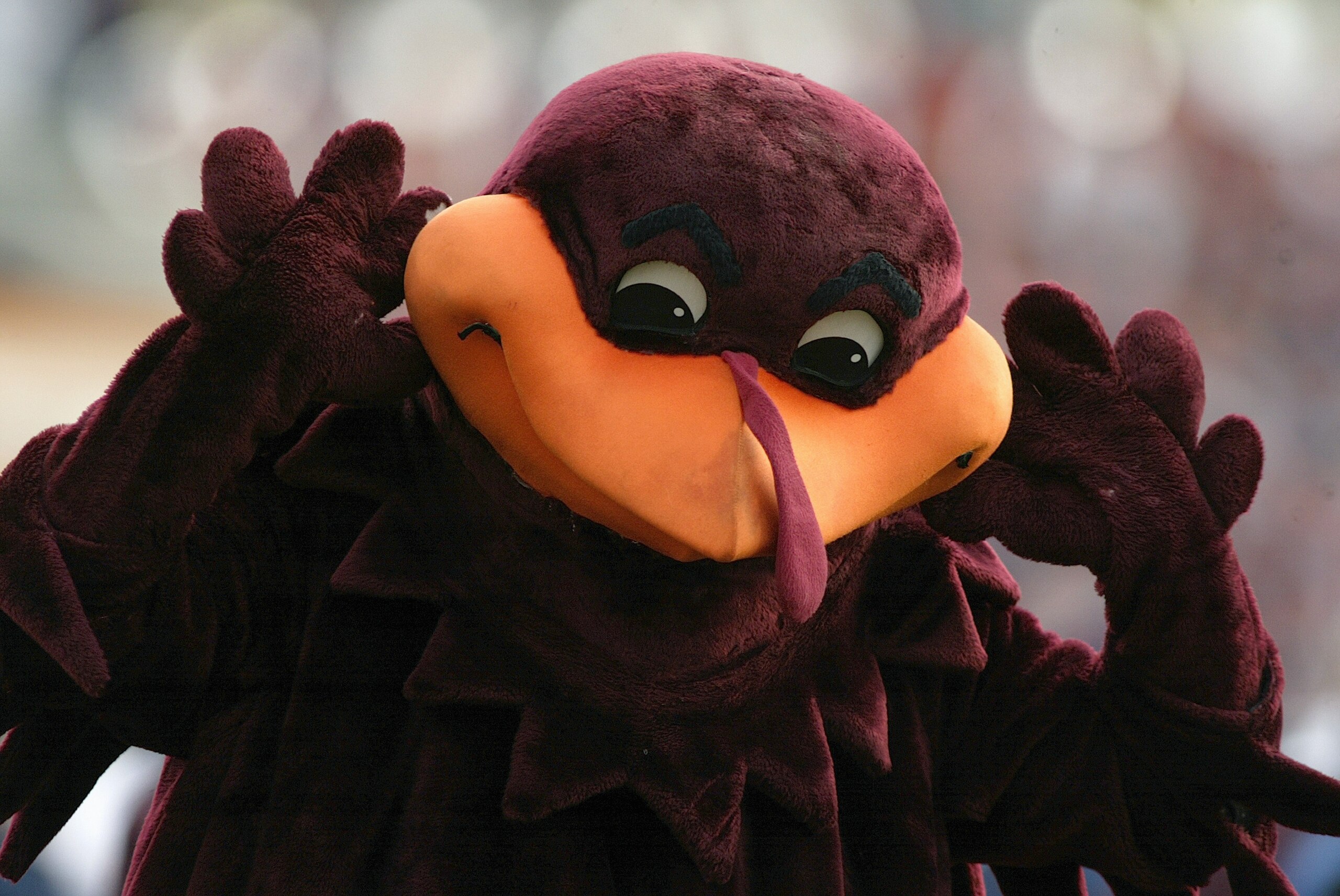 BLACKSBURG, VA - NOVEMBER 27: The Virginia Tech Hokies mascot Hokie Bird performs as the football team faces the Virginia Cavaliers on November 27, 2004 at Lane Stadium in Blacksburg, Virginia. Virginia Tech defeated Virginia 24-10. (Photo By Grant Halver