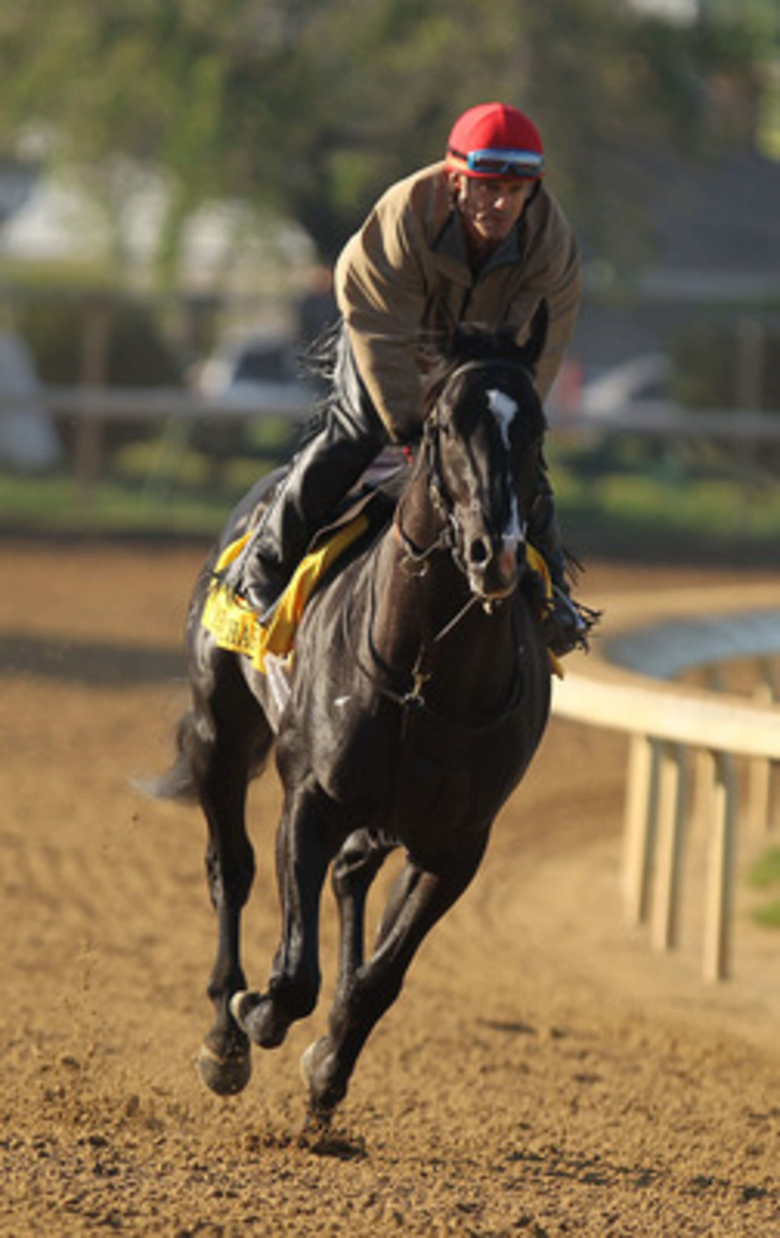 LOUISVILLE, KY - MAY 05:  ArchArchArch trains during the morning exercise session in preparation for the 137th Kentucky Derby at Churchill Downs on May 5, 2011 in Louisville, Kentucky.  (Photo by Al Bello/Getty Images)
