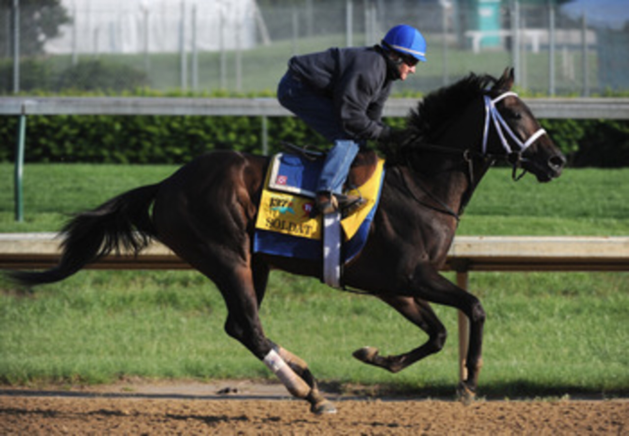 LOUISVILLE, KY - MAY 05:  An exercise rider works Soldat over the track in preparation for the 137th Kentucky Derby at Churchill Downs on May 5, 2011 in Louisville, Kentucky.  (Photo by Harry How/Getty Images)