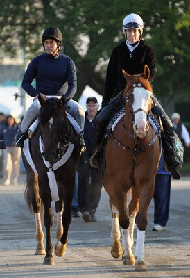 LOUISVILLE, KY - MAY 05:  Kentucky Derby entrant Dialed In with excercise rider Carlos Correa, is led to the track during morning workouts in preparation for the 137th running of the Kentucky Derby on May 5, 2011 at Churchill Downs in Louisville, Kentucky