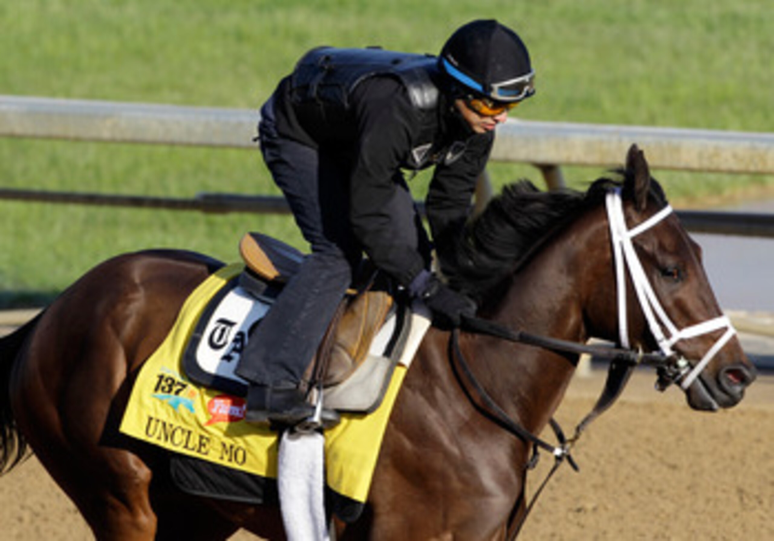 LOUISVILLE, KY - MAY 05:  Kentucky Derby entrant Uncle Mo works on the track in preparation for the 137th Kentucky Derby at Churchill Downs on May 5, 2011 in Louisville, Kentucky.  (Photo by Rob Carr/Getty Images)