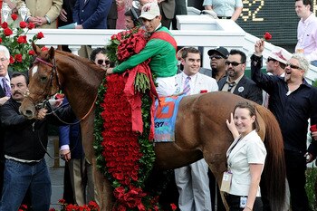 LOUISVILLE, KY - MAY 07:  Jockey John Valazquez, riding Animal Kingdom #16, celebrates with the roses winning the 137th Kentucky Derby at Churchill Downs on May 7, 2011 in Louisville, Kentucky.  (Photo by Harry How/Getty Images)
