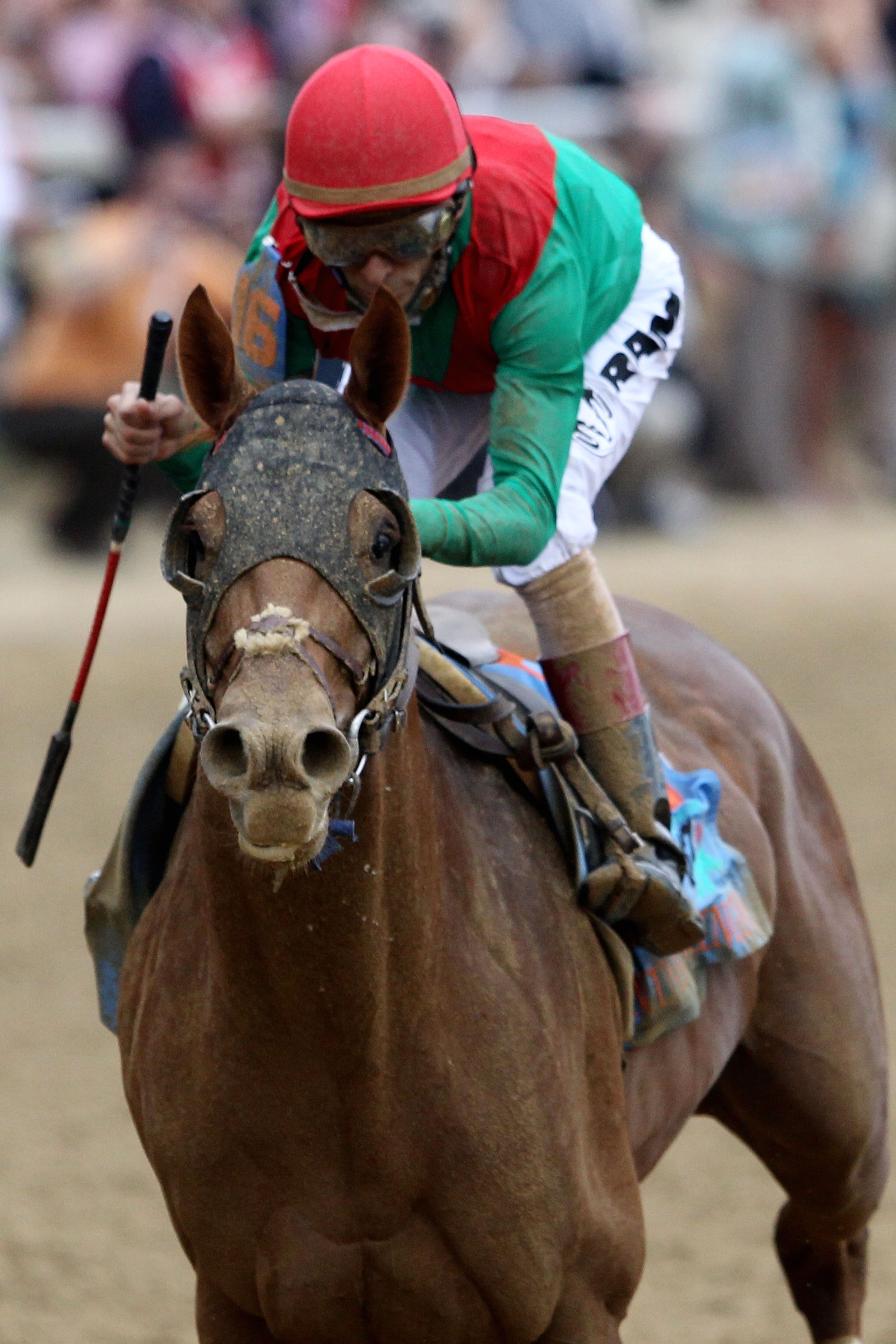LOUISVILLE, KY - MAY 07:  Jockey John Velazquez, riding Animal Kingdom #16 crosses the finish line on way to winning the 137th Kentucky Derby at Churchill Downs on May 7, 2011 in Louisville, Kentucky.  (Photo by Matthew Stockman/Getty Images)