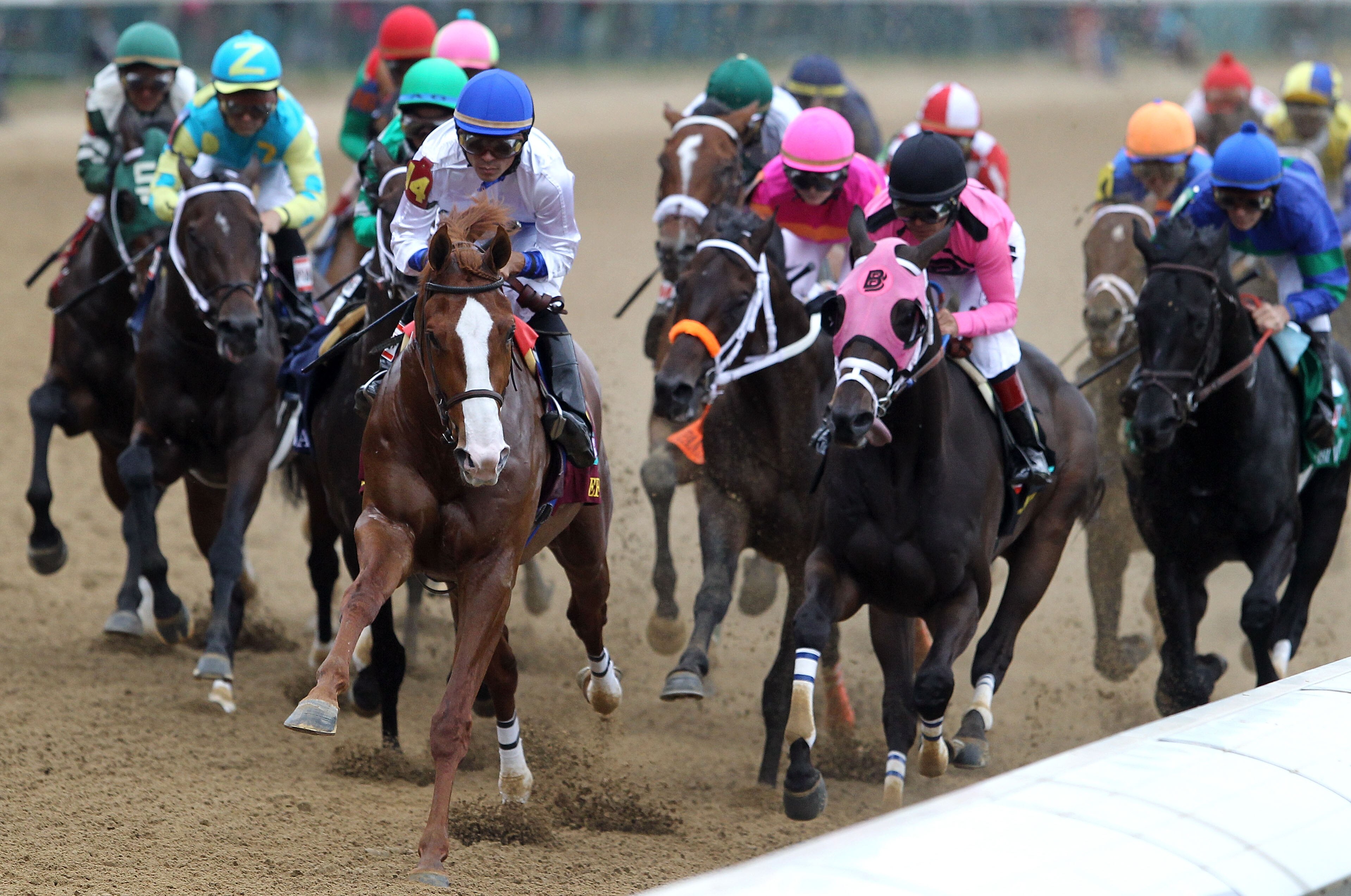 LOUISVILLE, KY - MAY 07:  Jockey Jesus L. Castanon (C), riding Shackleford #14, leads the field down the stretch at the start of the 137th Kentucky Derby at Churchill Downs on May 7, 2011 in Louisville, Kentucky.  (Photo by Matthew Stockman/Getty Images)