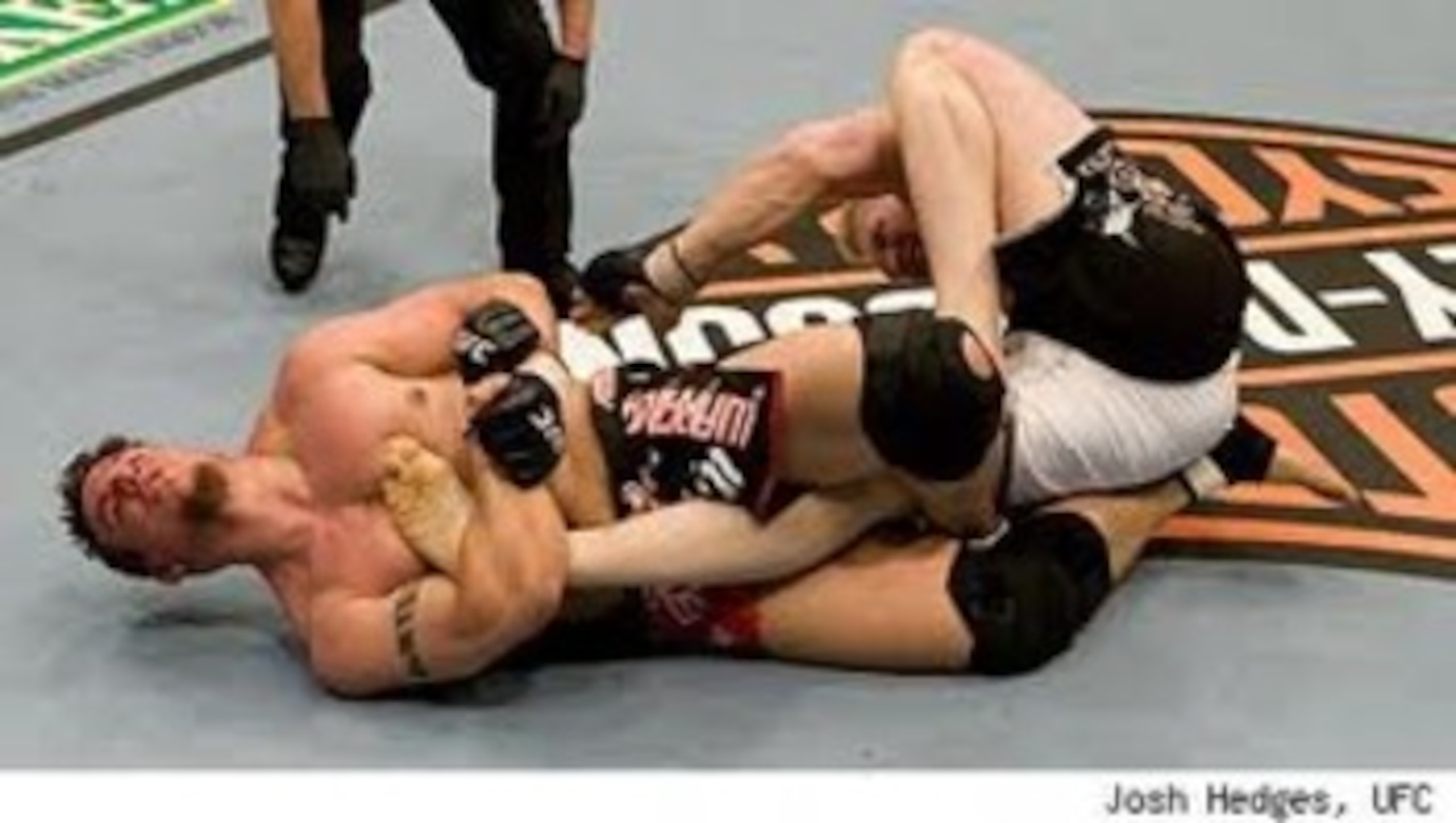 Can Roy Nelson avoid the submissions of Frank Mir?