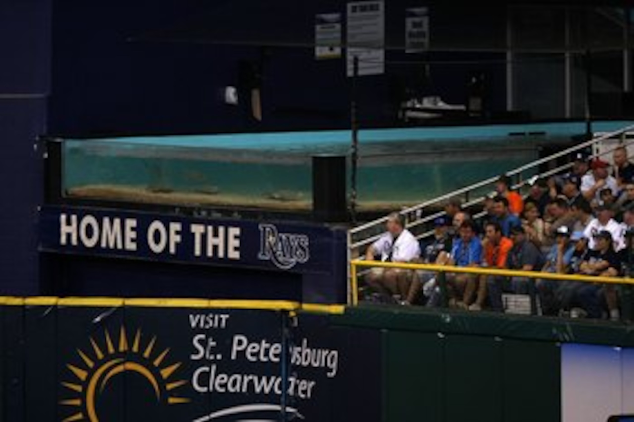 ST PETERSBURG, FL - OCTOBER 22: Rays swim in the tank in the outfield next to fans as the Philadelphia Phillies take on the Tampa Bay Rays during game one of the 2008 MLB World Series on October 22, 2008 at Tropicana Field in St. Petersburg, Florida. (P ST PETERSBURG, FL - OCTOBER 22: Rays swim in the tank in the outfield next to fans as the Philadelphia Phillies take on the Tampa Bay Rays during game one of the 2008 MLB World Series on October 22, 2008 at Tropicana Field in St. Petersburg, Florida. (P