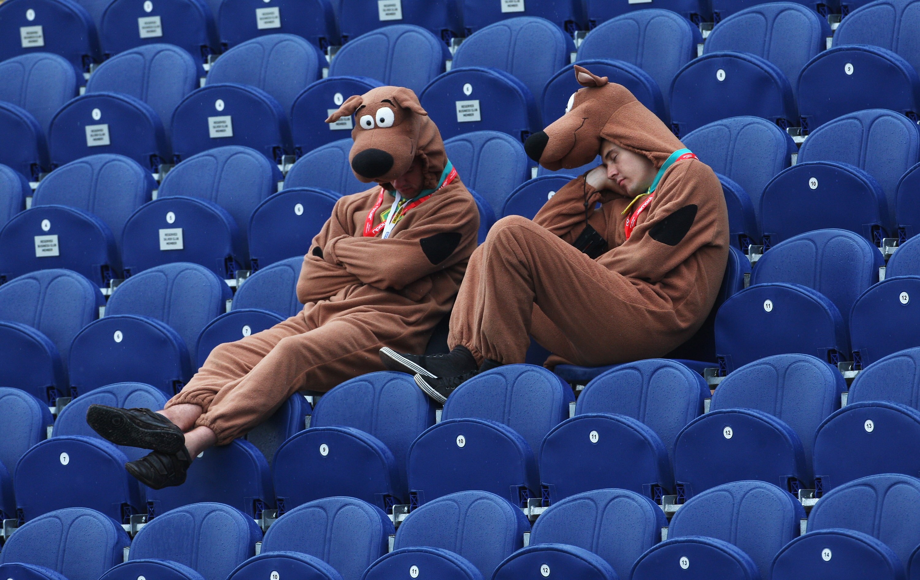 CARDIFF, WALES - JULY 10: Supporters dressed as Scooby-Doo rest during a rain delay on day three of the npower 1st Ashes Test Match between England and Australia at the SWALEC Stadium on July 10, 2009 in Cardiff, Wales.  (Photo by Hamish Blair/Getty Image