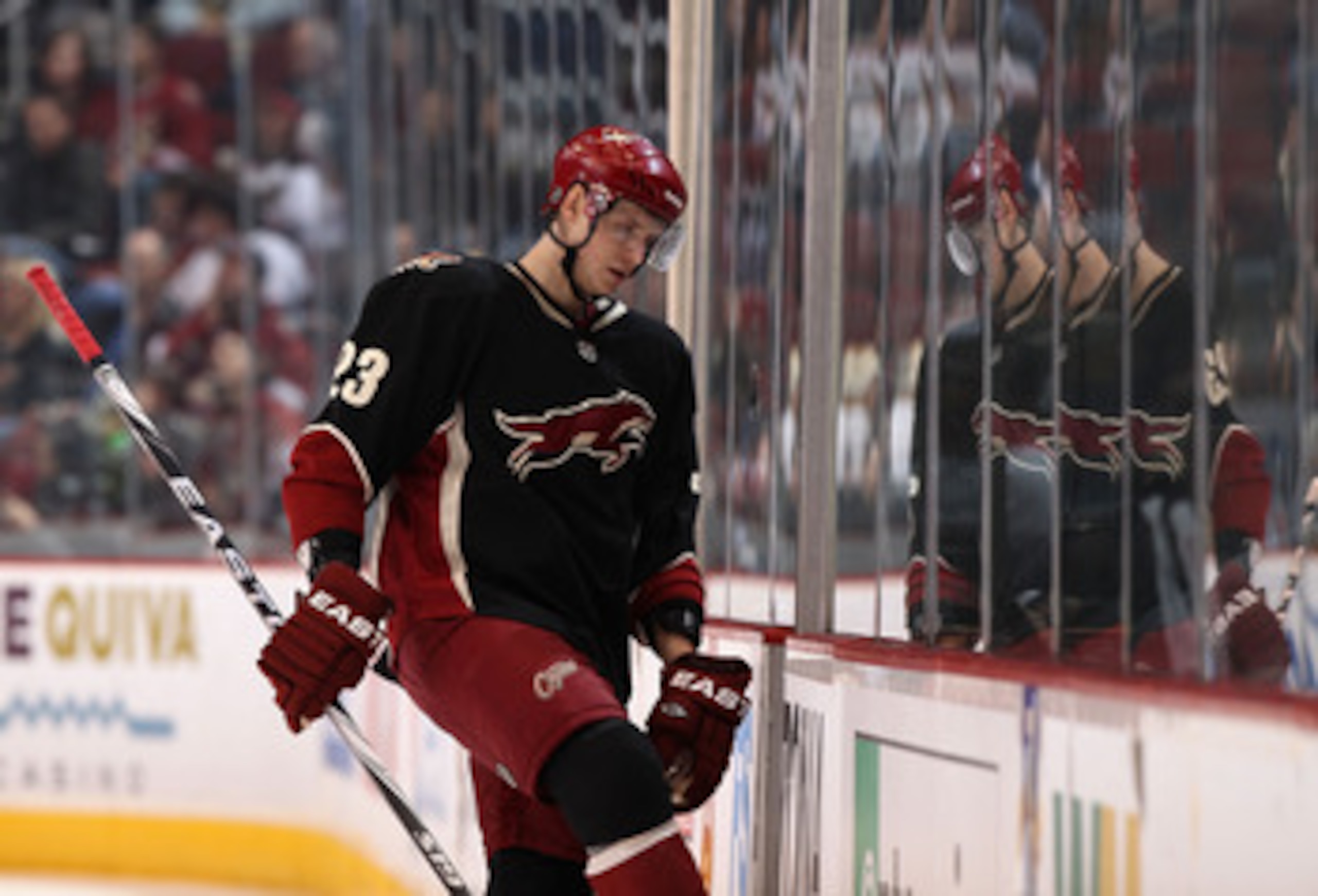 GLENDALE, AZ - JANUARY 18:  Oliver Ekman-Larsson #23 of the Phoenix Coyotes skates into the penalty box during the NHL game against the Nashville Predators at Jobing.com Arena on January 18, 2011 in Glendale, Arizona.  The Predators defeated the Coyotes 5