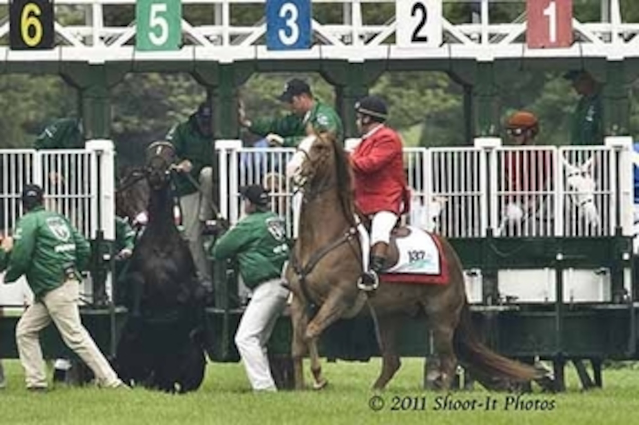 Vivo Per Lei was scratched after bucking in the gate on the Derby undercard