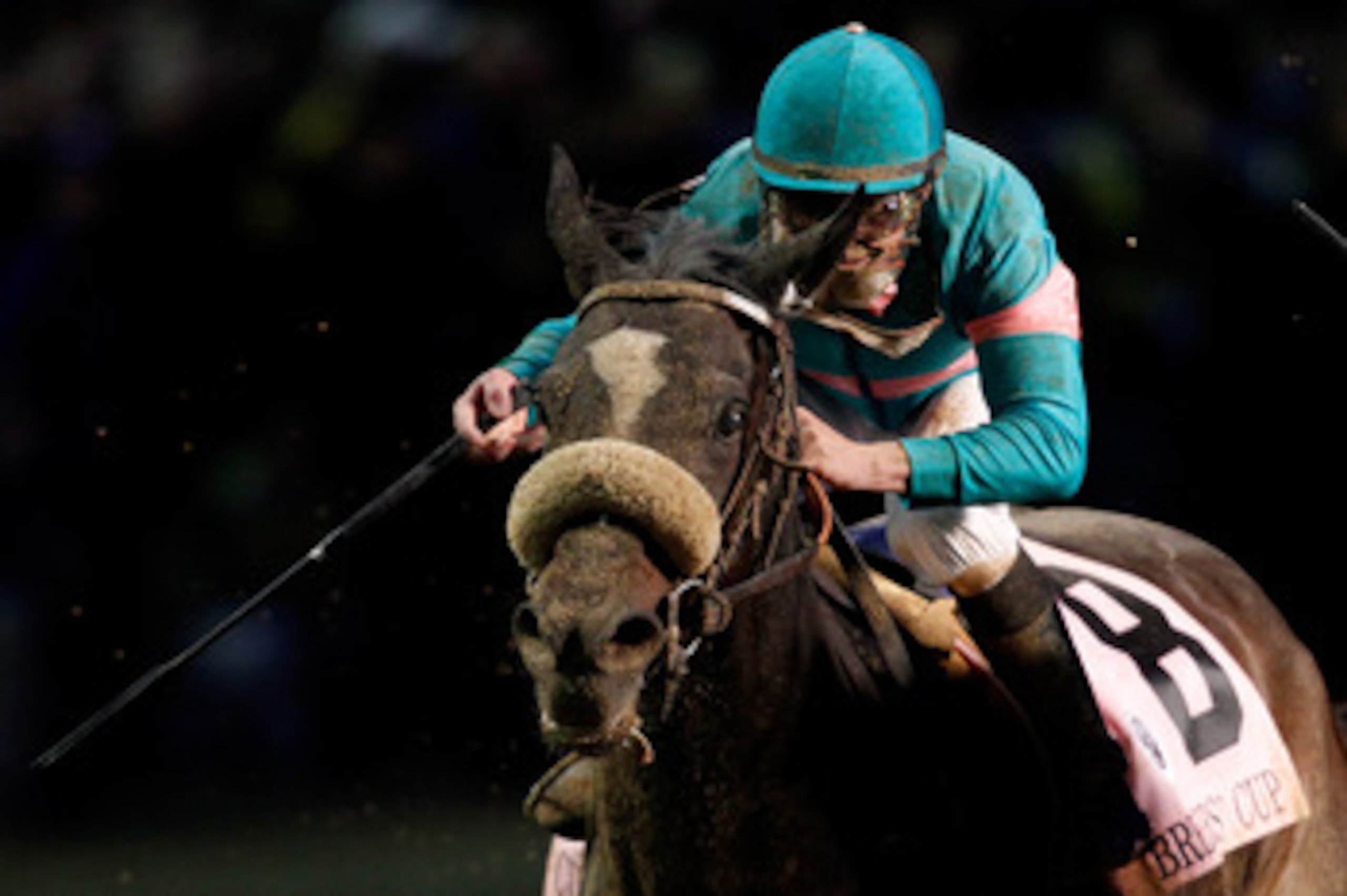 LOUISVILLE, KY - NOVEMBER 06: Zenyatta, ridden by Mike Smith, crosses the finish line in the Classic during the Breeders' Cup World Championships at Churchill Downs on November 6, 2010 in Louisville, Kentucky.  (Photo by Matthew Stockman/Getty Images)