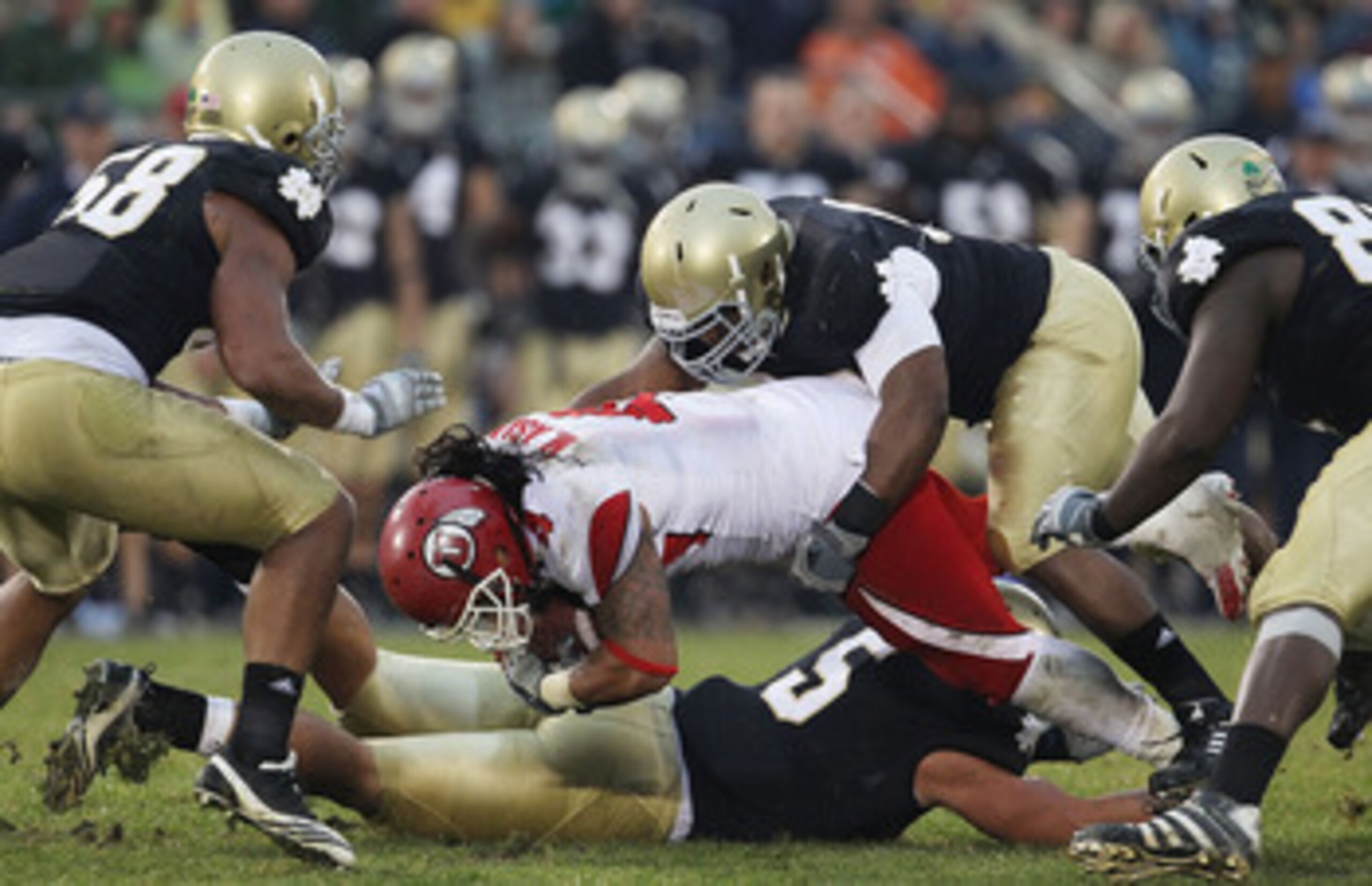 SOUTH BEND, IN - NOVEMBER 13: Manti Te'o #5 and Emeka Nwankwo #91 of the Notre Dame Fighting Irish tackle Matt Asiata #4 of the Utah Utes as Brian Smith #58 (L) and Kapron Lewis-Moore #89 close in at Notre Dame Stadium on November 13, 2010 in South Bend,