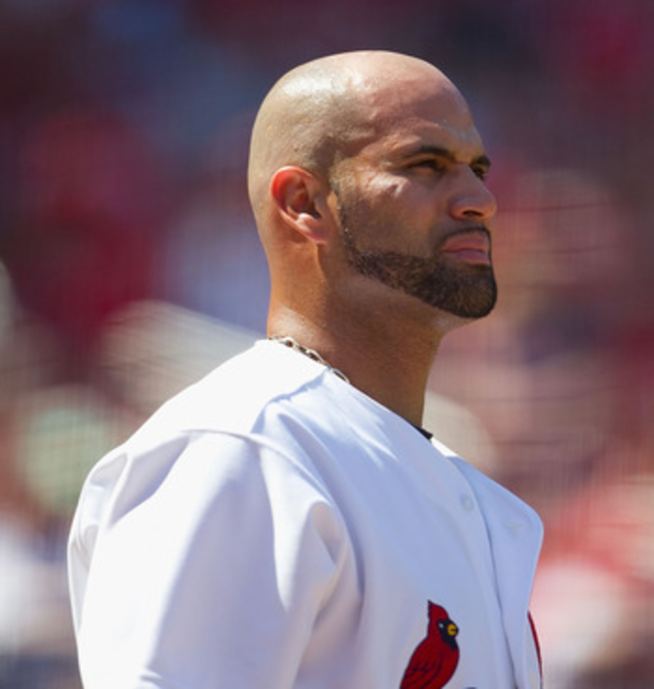 ST. LOUIS, MO - MAY 8: Albert Pujols #5 of the St. Louis Cardinals looks on from the on deck circle against the Milwaukee Brewers at Busch Stadium on May 8, 2011 in St. Louis, Missouri.  (Photo by Dilip Vishwanat/Getty Images)