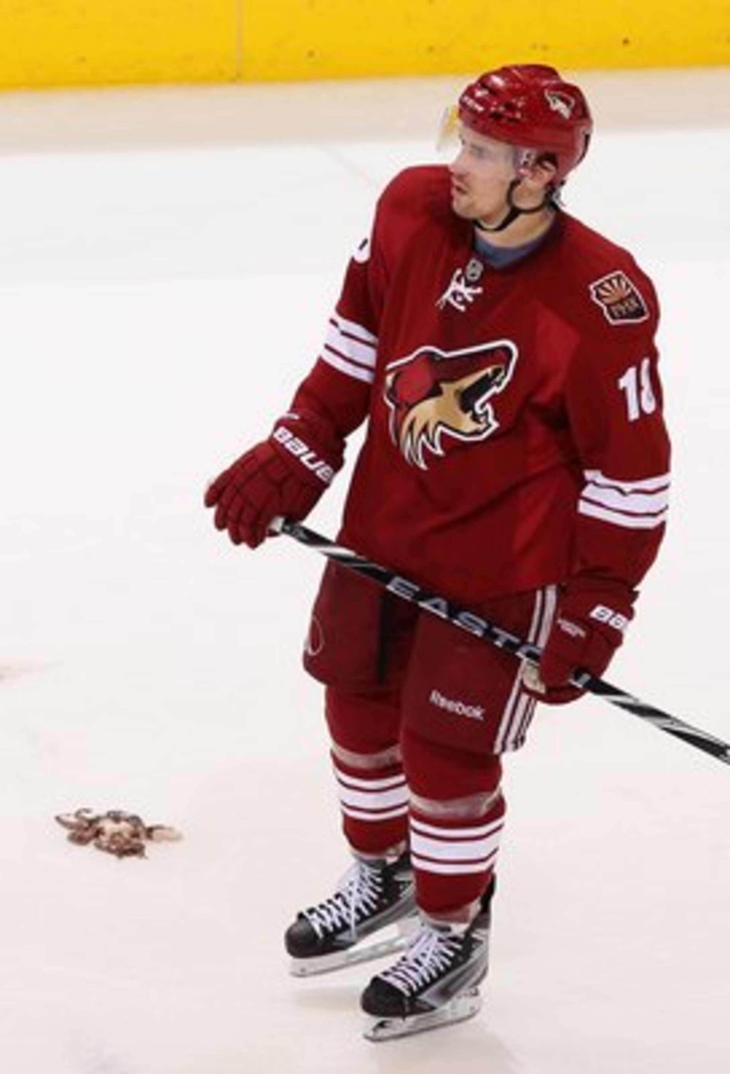 GLENDALE, AZ - APRIL 16:  Sami Lepisto #18 of the Phoenix Coyotes skates past an octopus thrown onto the ice in Game Two of the Western Conference Quarterfinals against the Detroit Red Wings during the 2010 NHL Stanley Cup Playoffs at Jobing.com Arena on 