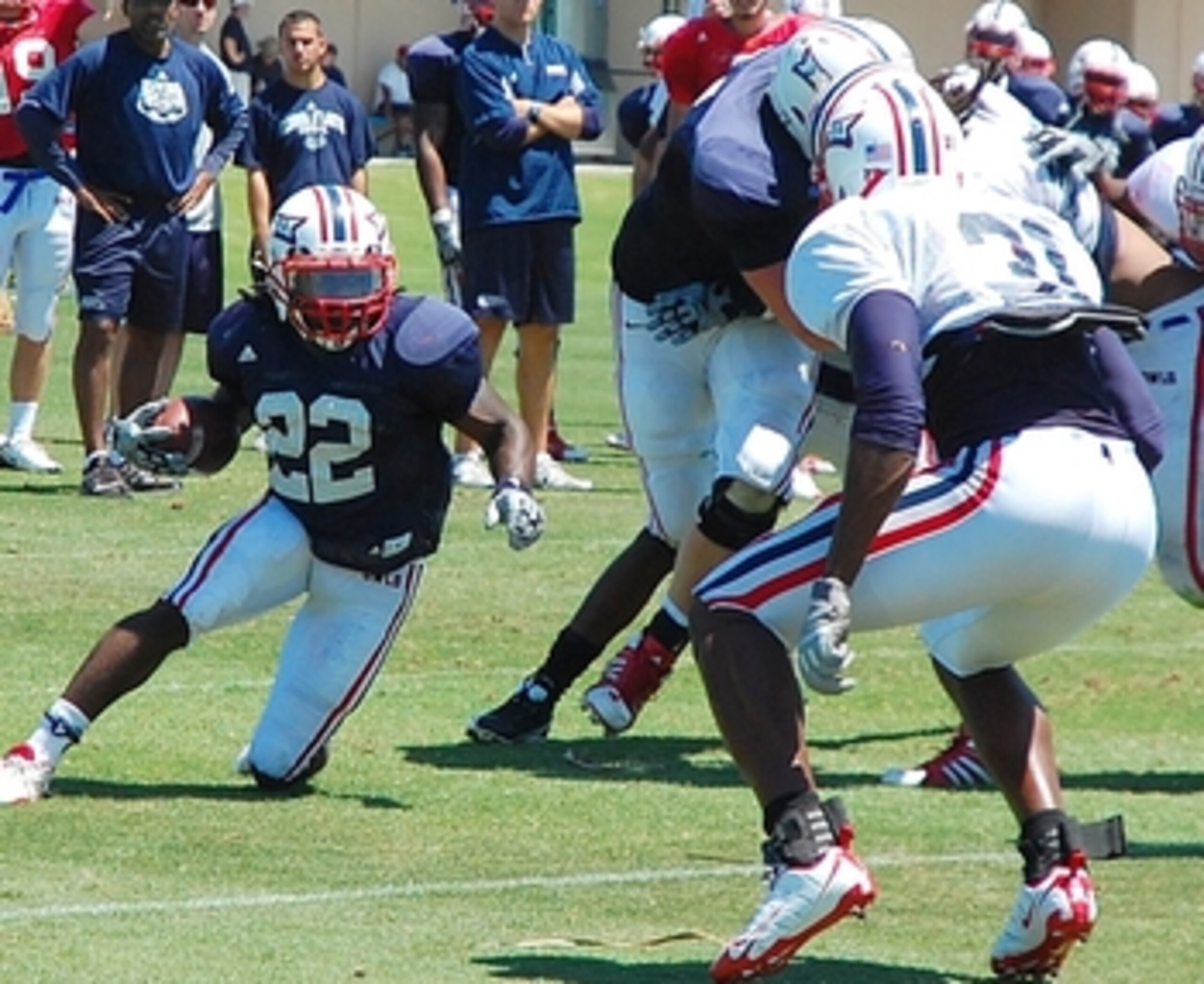 Photo: FAUOwlAccess.com